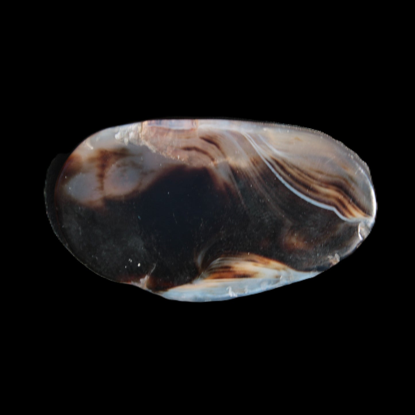 Crazy Lace Agate from Madagascar slice 50*4*30mm 18.8g Rocks and Things Store
