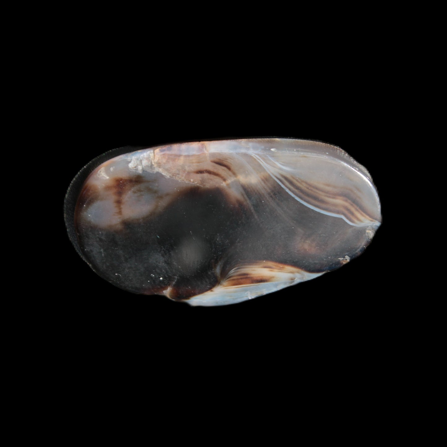 Crazy Lace Agate from Madagascar slice 50*4*30mm 18.8g Rocks and Things Store
