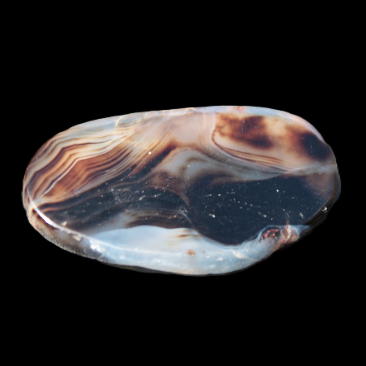 Crazy Lace Agate from Madagascar slice 50*4*30mm 18.8g Rocks and Things Store