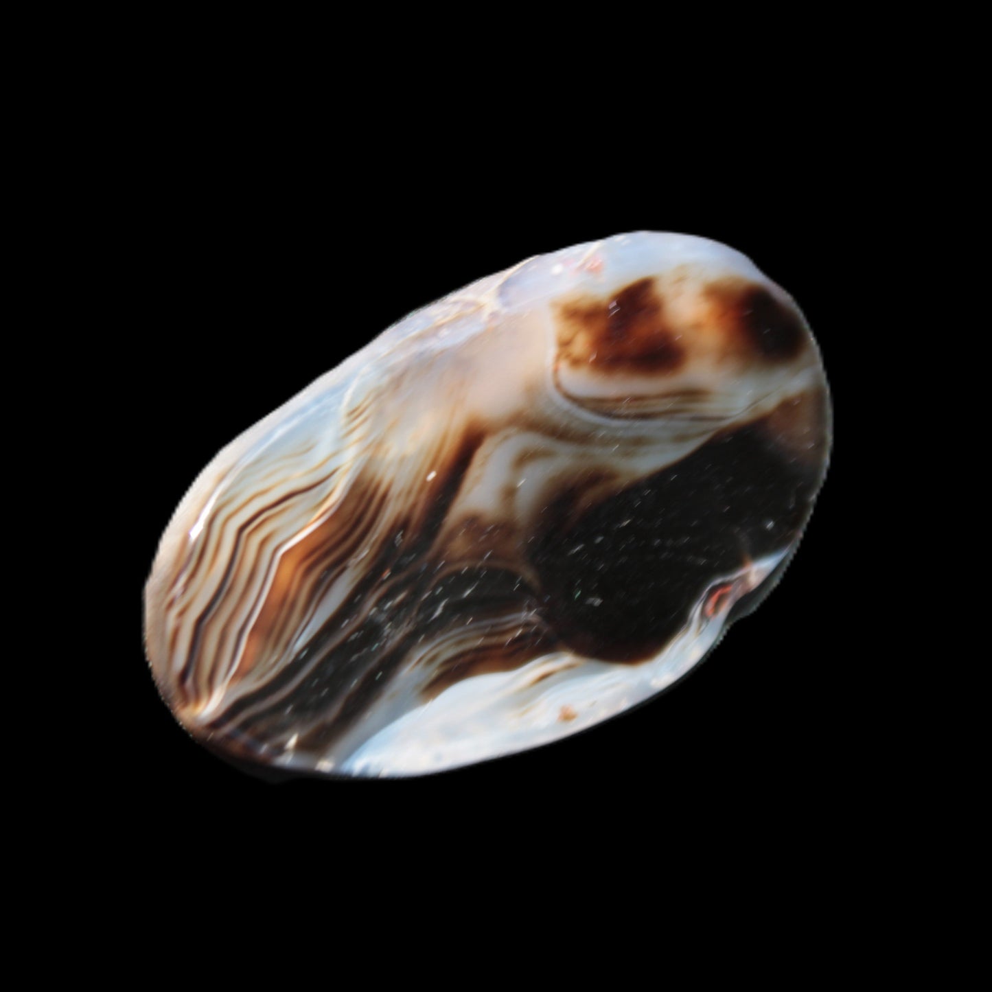 Crazy Lace Agate from Madagascar slice 50*4*30mm 18.8g Rocks and Things Store