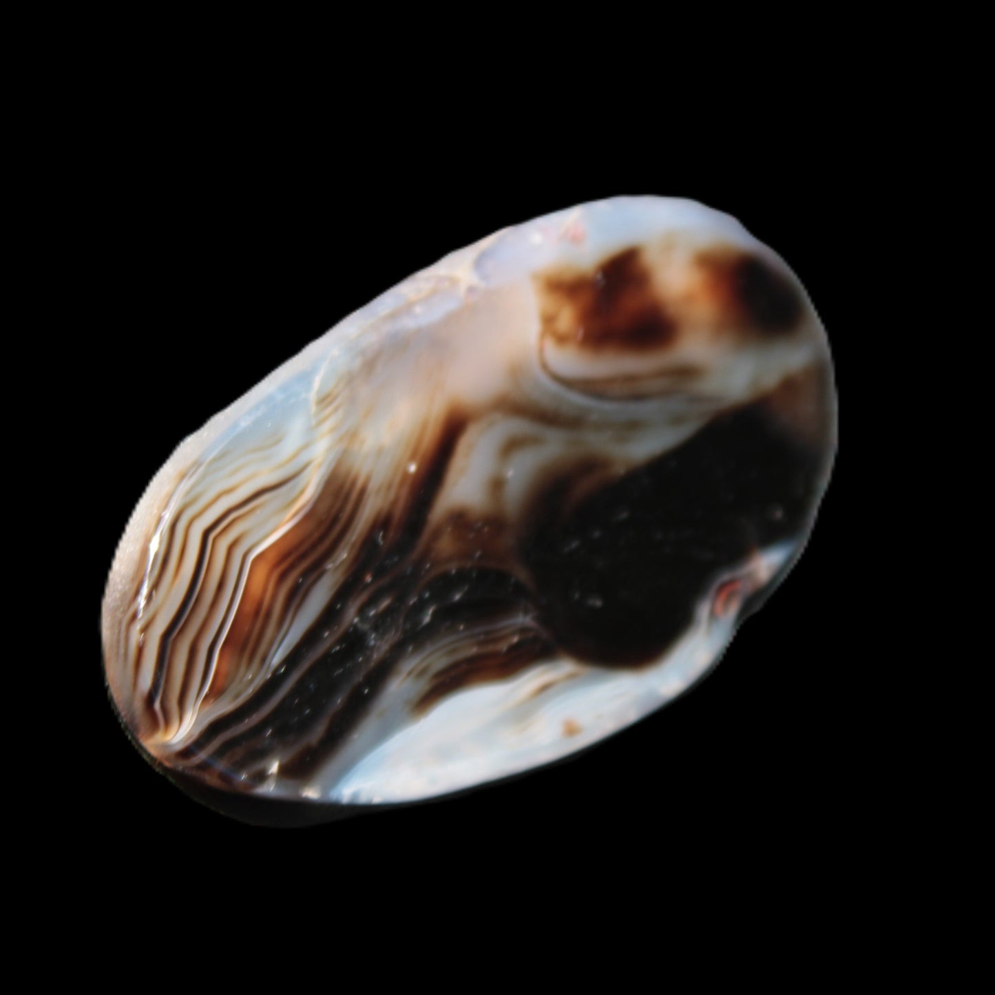 Crazy Lace Agate from Madagascar slice 50*4*30mm 18.8g Rocks and Things Store