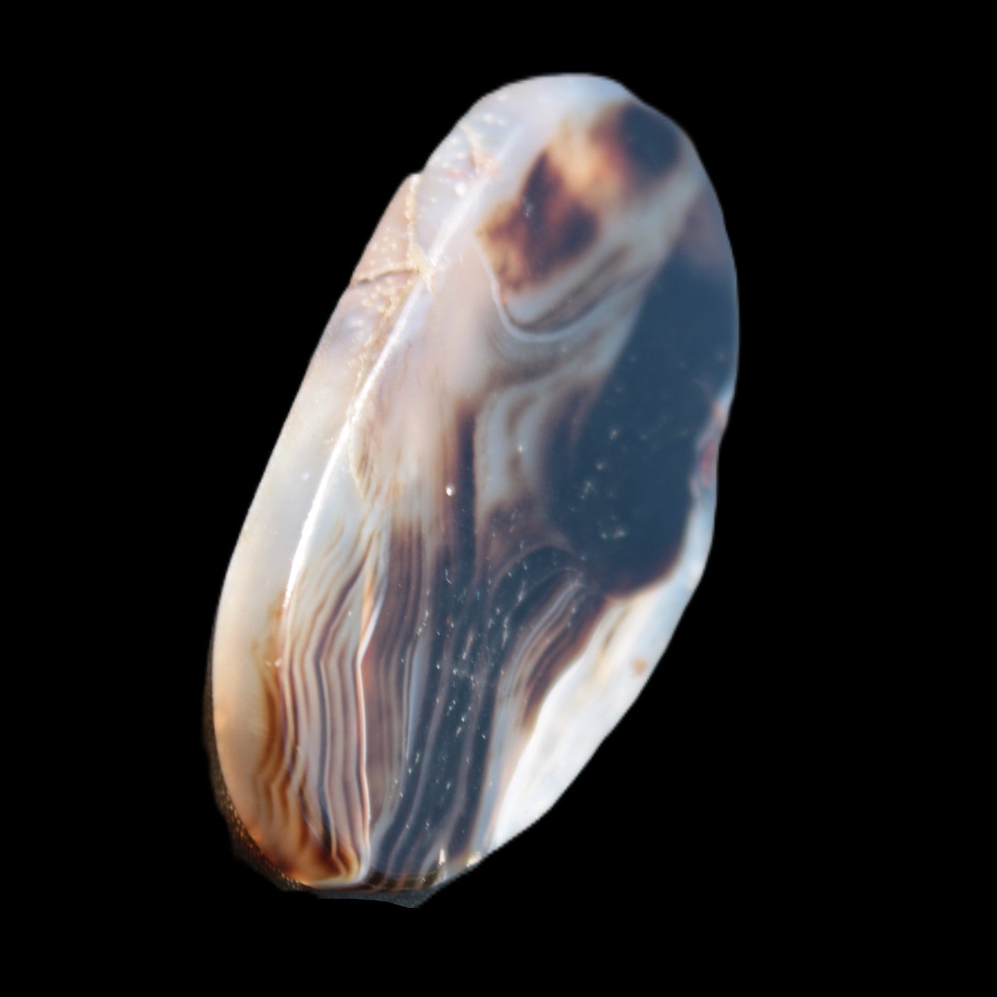Crazy Lace Agate from Madagascar slice 50*4*30mm 18.8g Rocks and Things Store