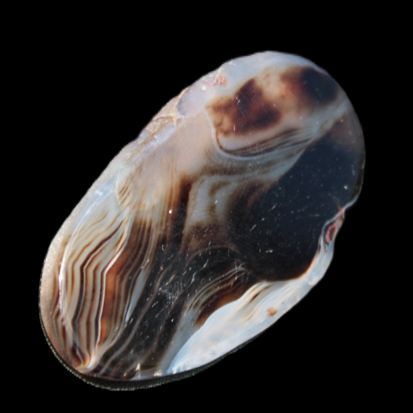 Crazy Lace Agate from Madagascar slice 50*4*30mm 18.8g Rocks and Things Store