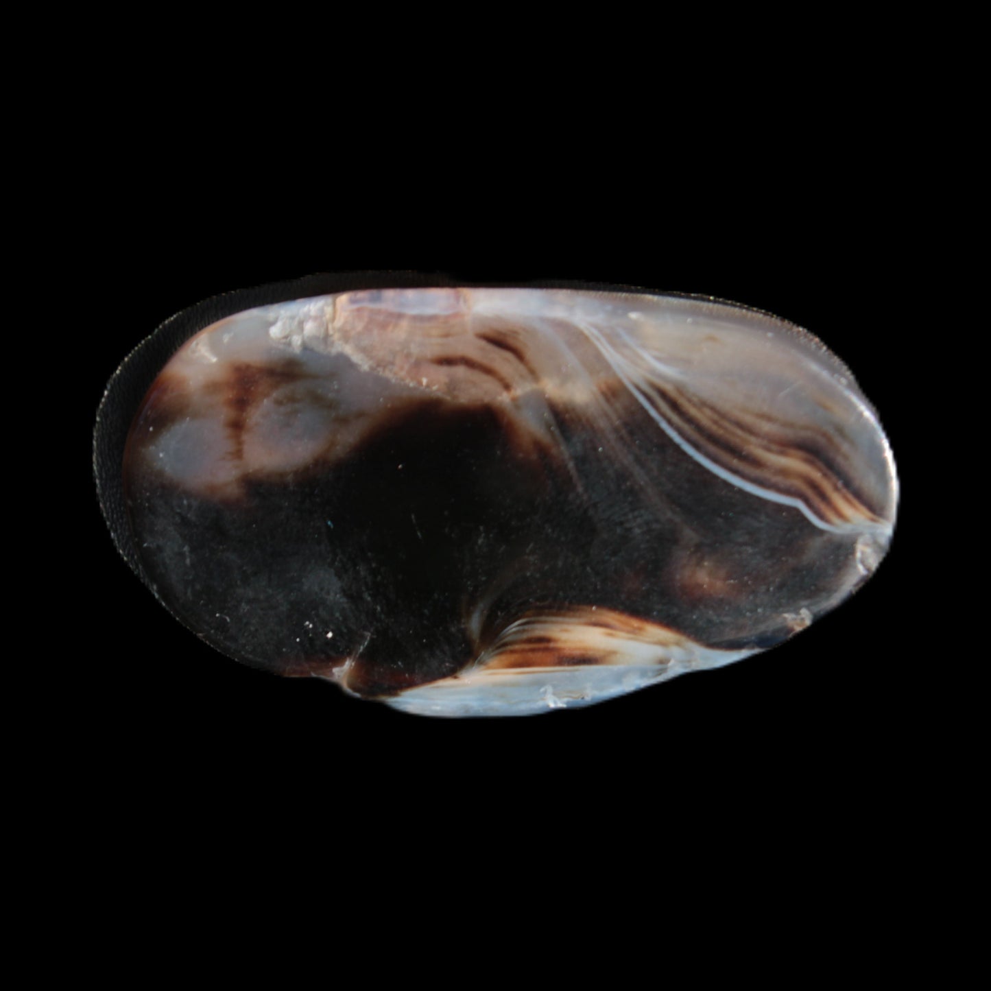 Crazy Lace Agate from Madagascar slice 50*4*30mm 18.8g Rocks and Things Store