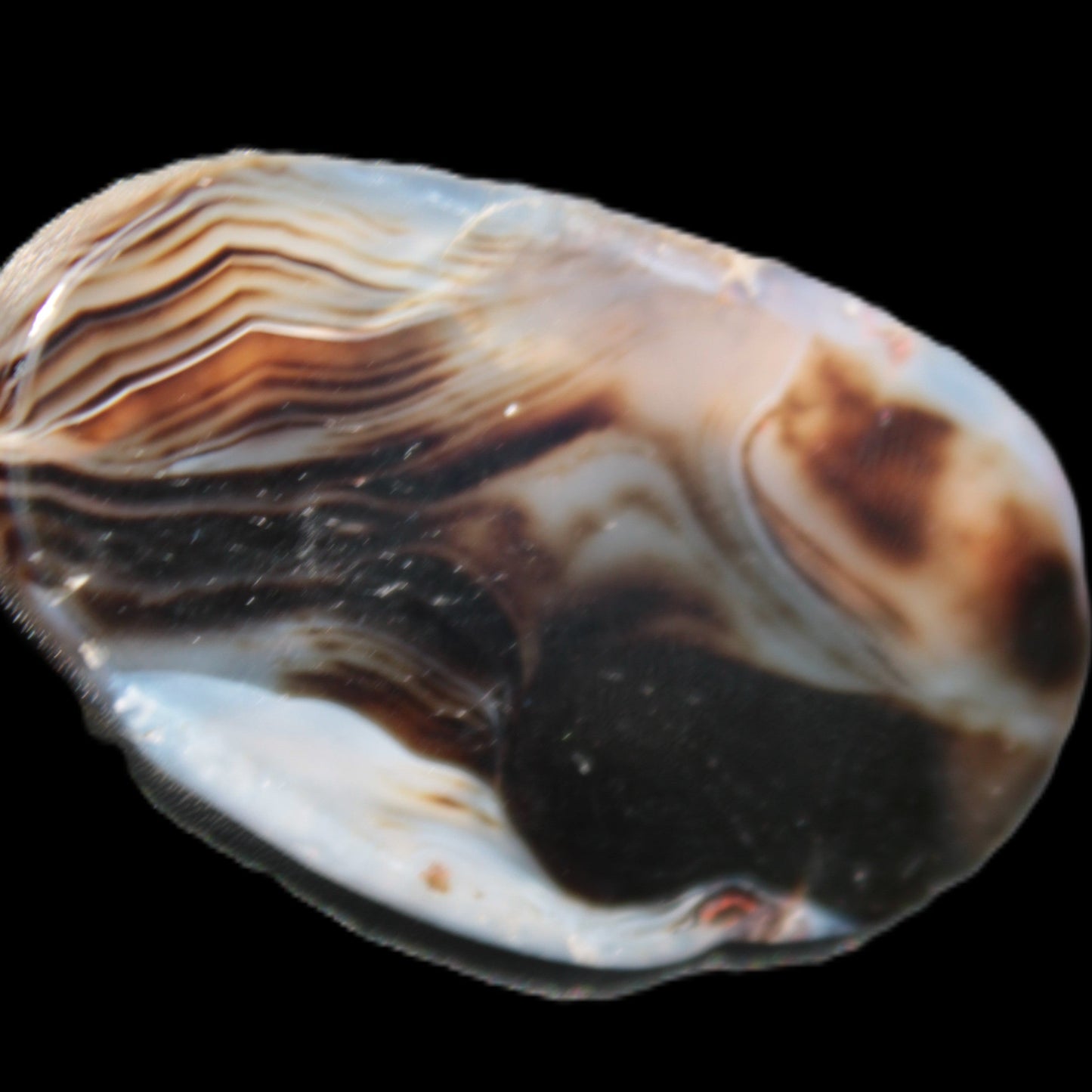 Crazy Lace Agate from Madagascar slice 50*4*30mm 18.8g Rocks and Things Store
