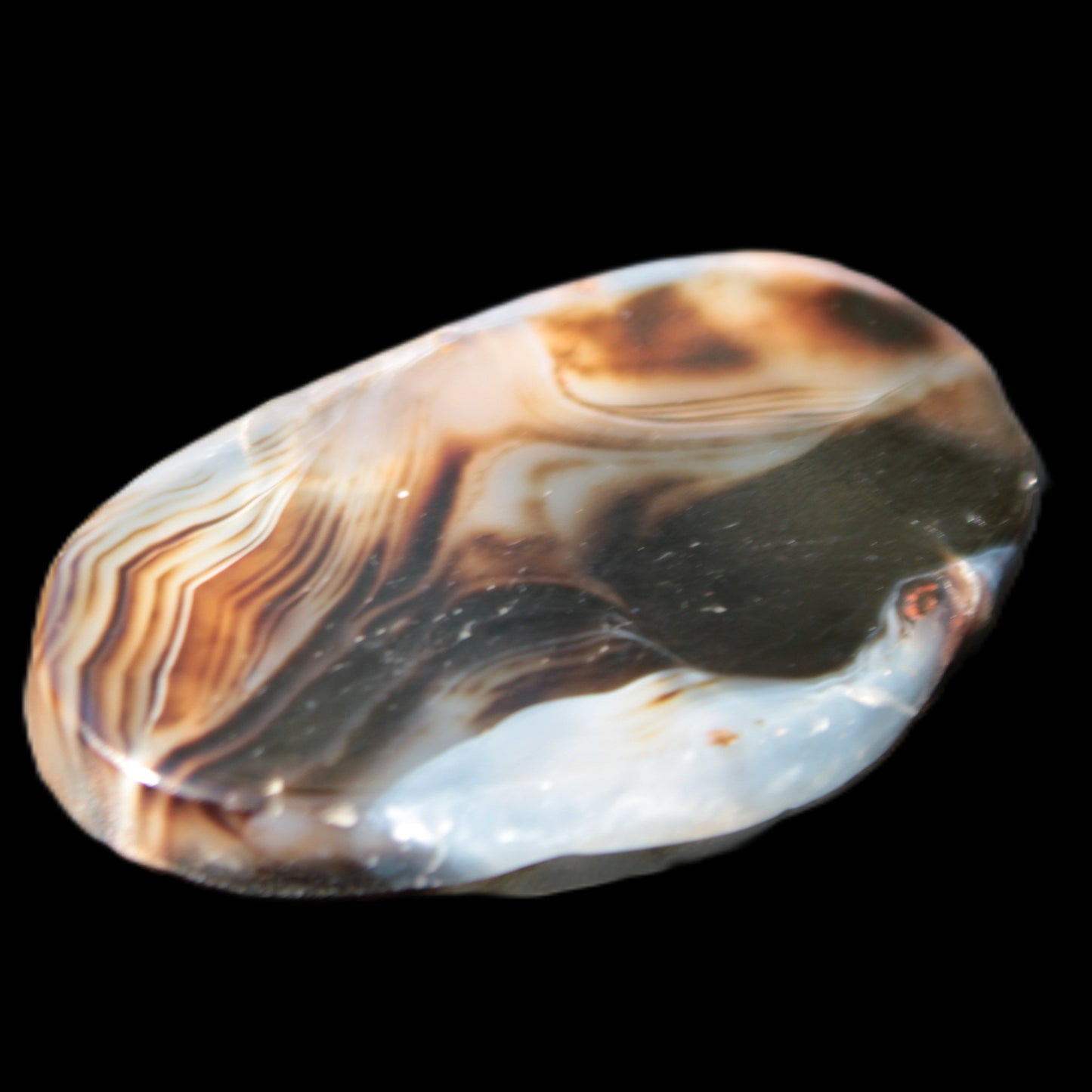 Crazy Lace Agate from Madagascar slice 50*4*30mm 18.8g Rocks and Things Store