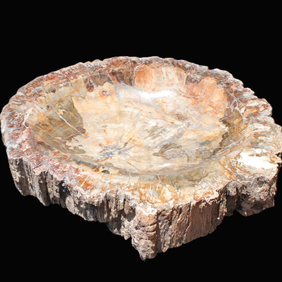 Big Petrified Wood hand-carved bowl 315*225*60mm 5560g in sunshine - Rocks and Things Store