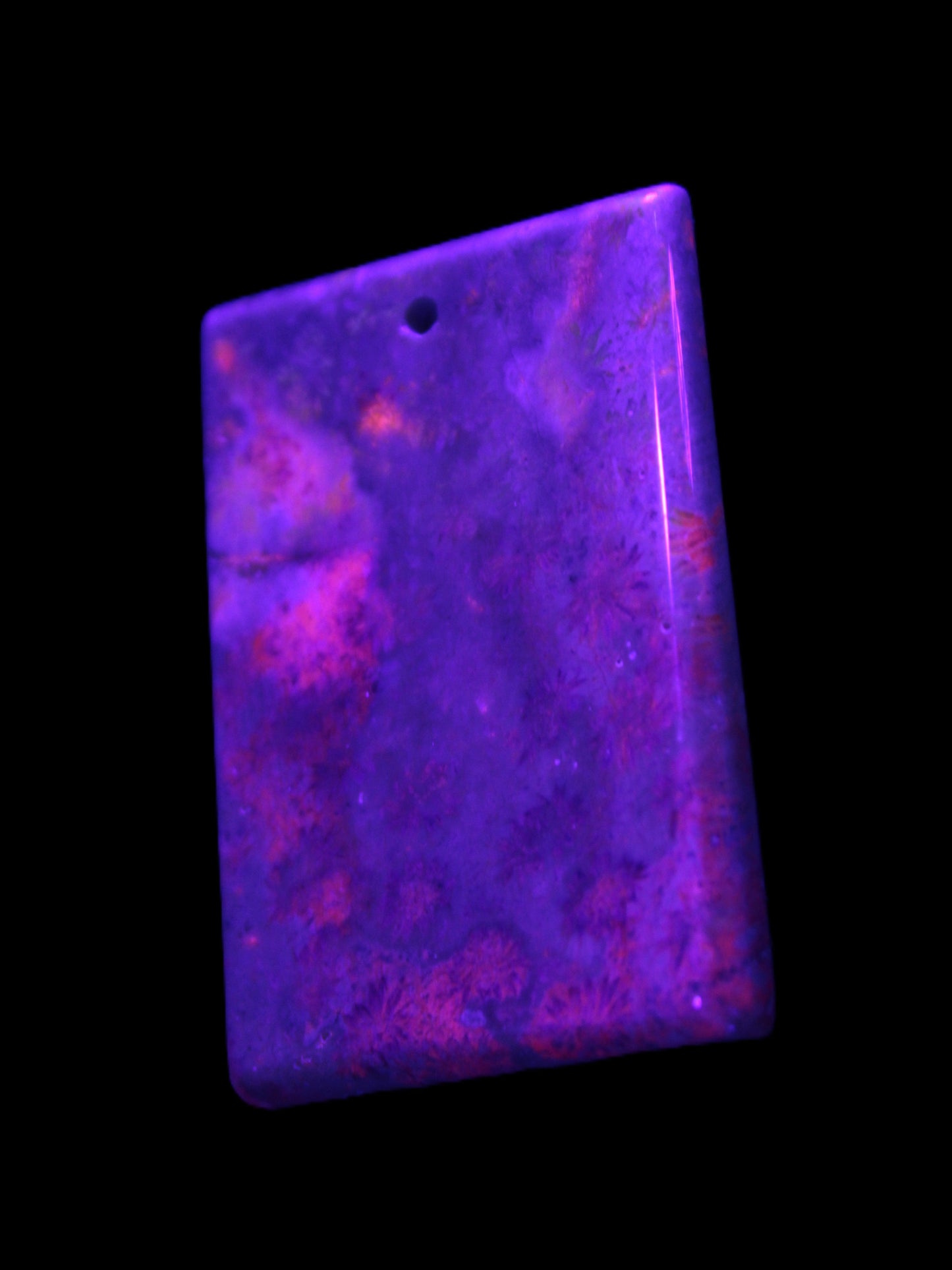 Rose Chrysanthemum coral fossil pendant 47*33*5mm 22.6g in UV light - Rocks and Things Store