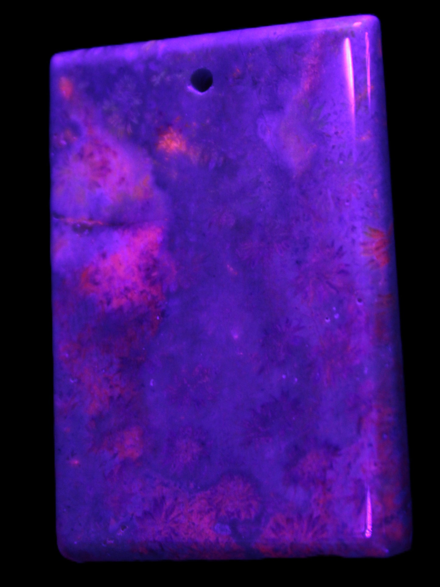 Rose Chrysanthemum coral fossil pendant 47*33*5mm 22.6g in UV light - Rocks and Things Store