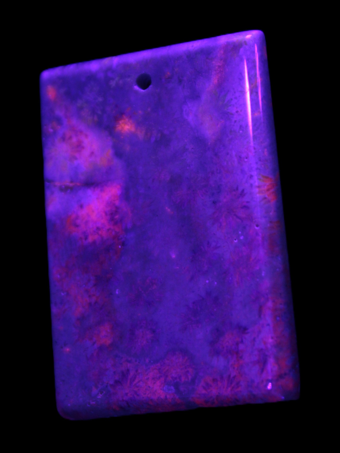 Rose Chrysanthemum coral fossil pendant 47*33*5mm 22.6g in UV light - Rocks and Things Store