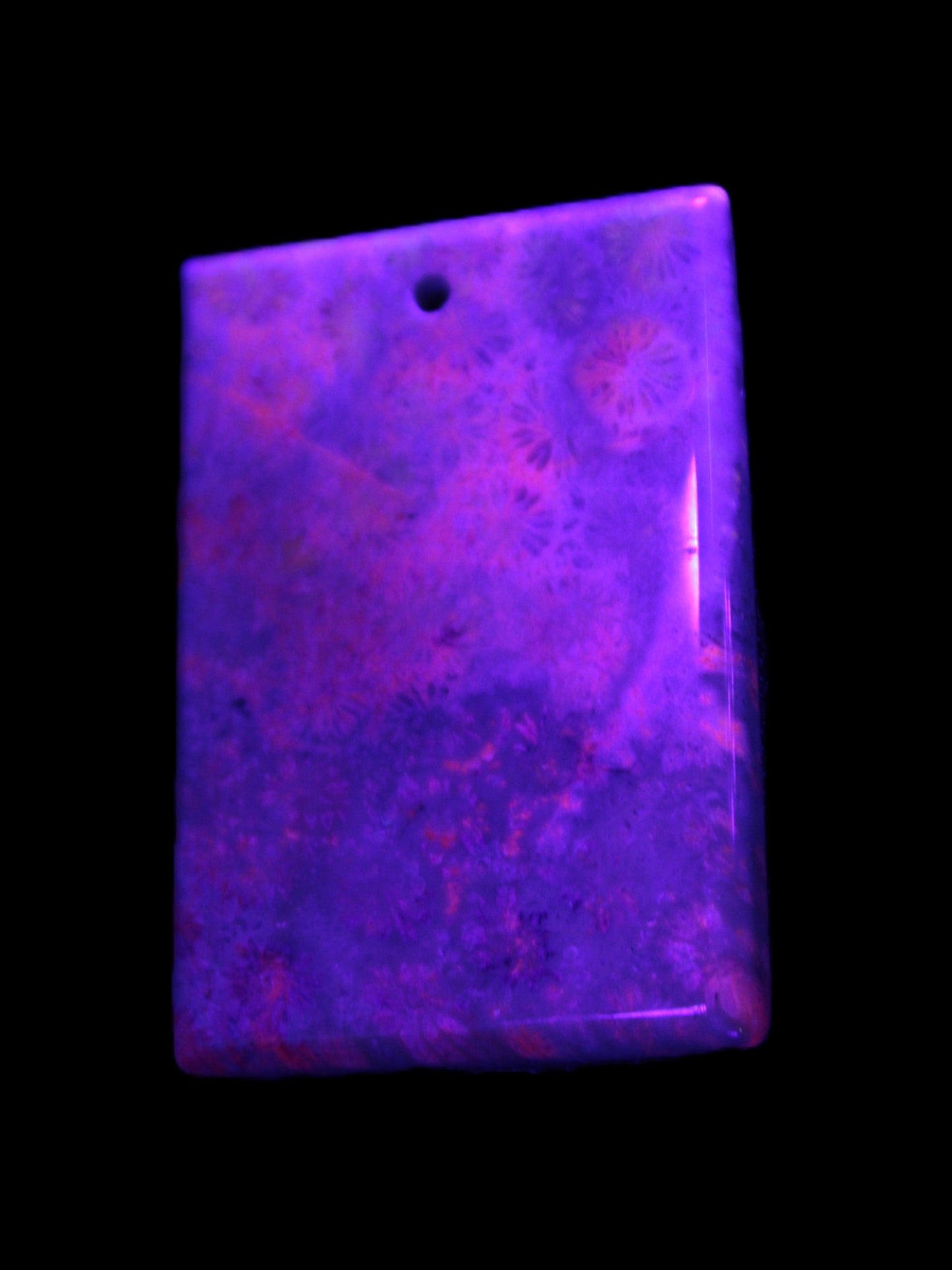 Rose Chrysanthemum coral fossil pendant 47*33*5mm 22.6g in UV light - Rocks and Things Store