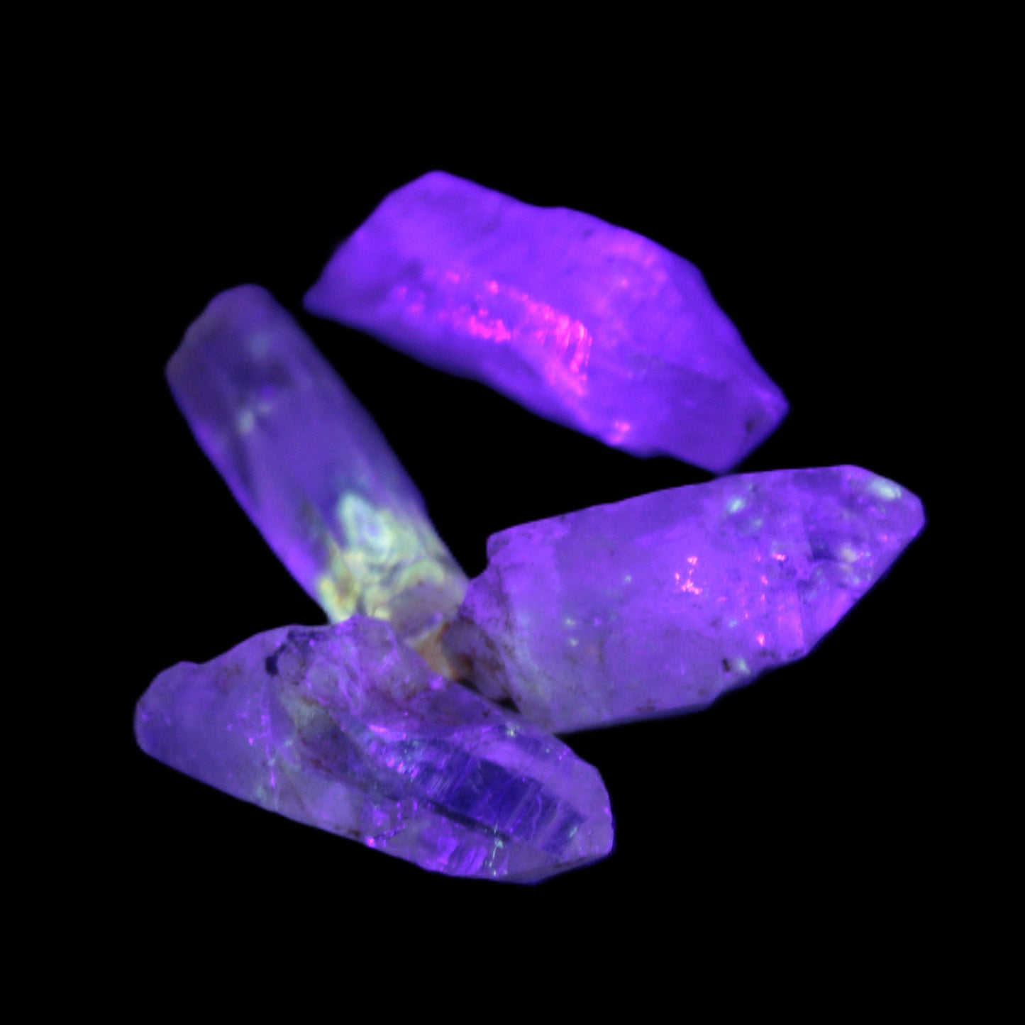 Fenster Enhydro Hydrocarbon 4 crystals 9-10g in UV light - Rocks and Things Store
