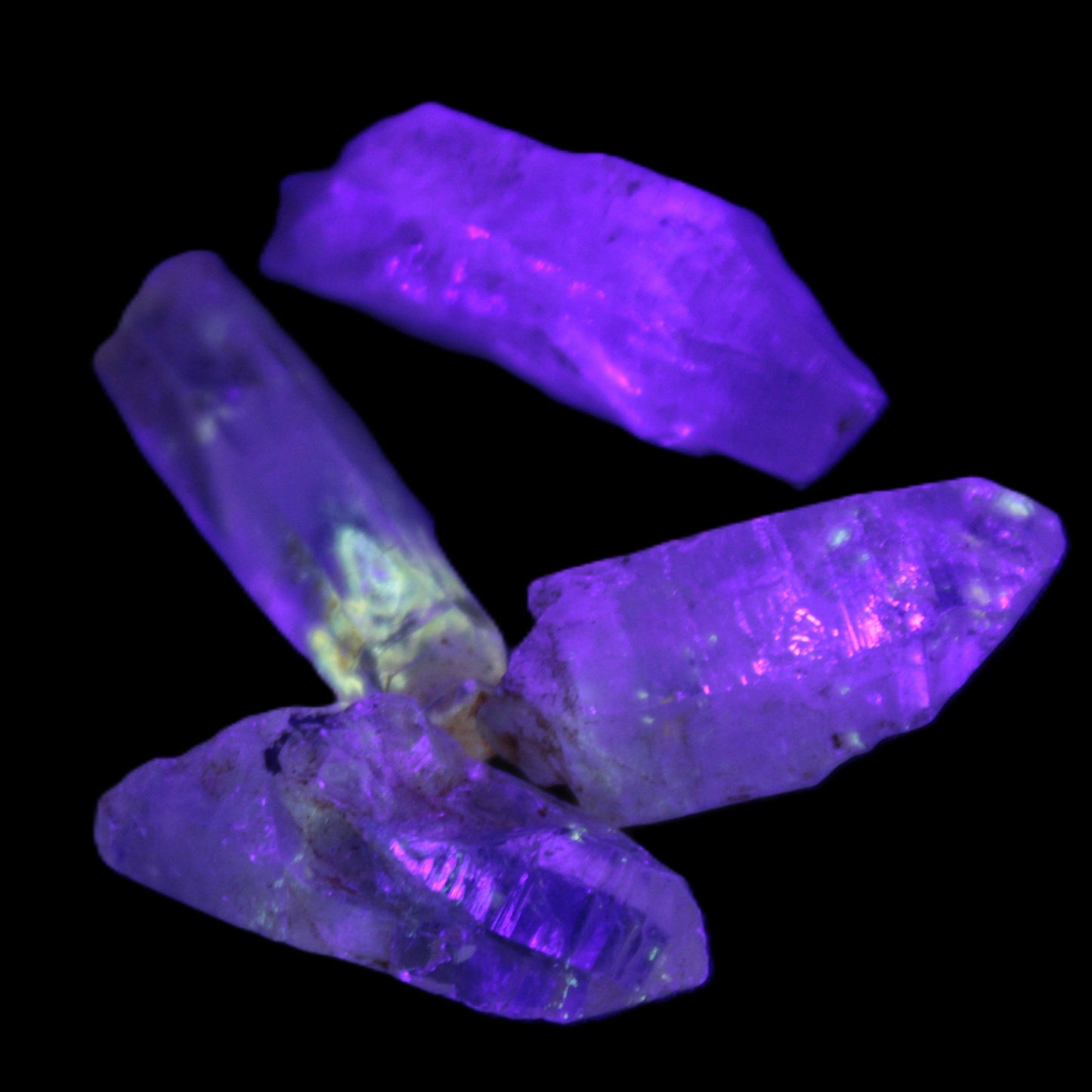 Fenster Enhydro Hydrocarbon 4 crystals 9-10g in UV light - Rocks and Things Store