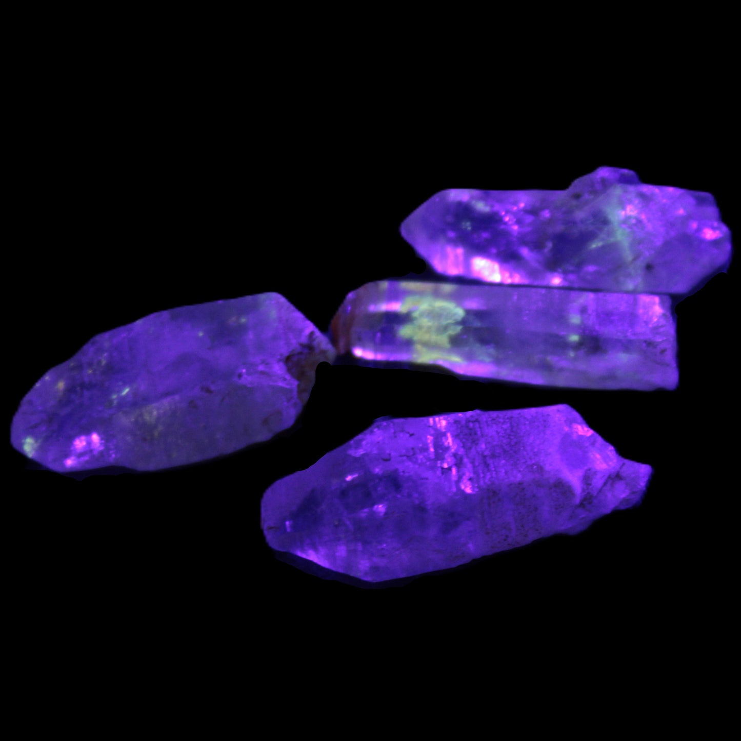 Fenster Enhydro Hydrocarbon 4 crystals 9-10g in UV light - Rocks and Things Store