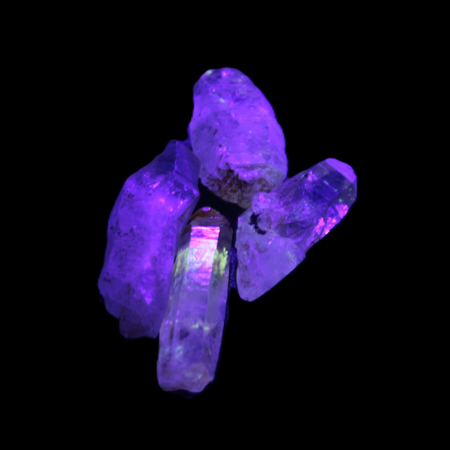 Fenster Enhydro Hydrocarbon 4 crystals 9-10g in UV light - Rocks and Things Store