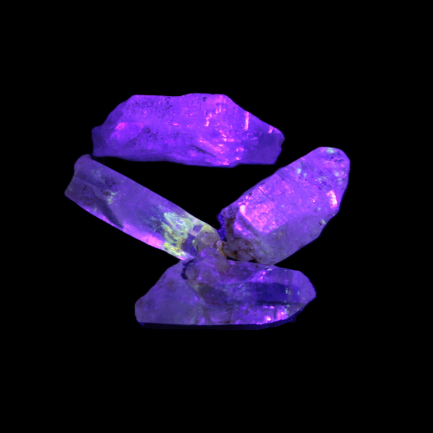 Fenster Enhydro Hydrocarbon 4 crystals 9-10g in UV light - Rocks and Things Store