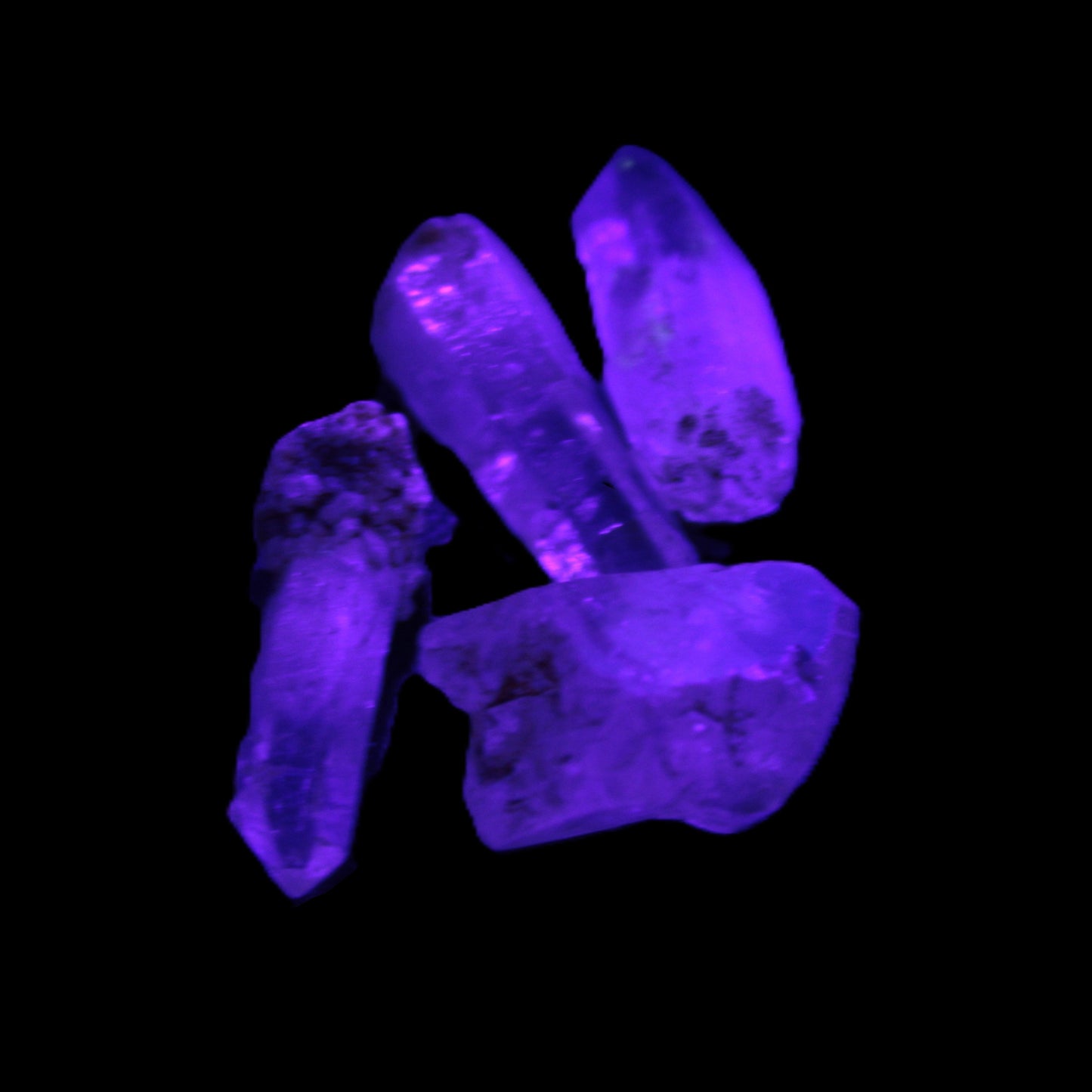 Fenster Enhydro Hydrocarbon 4 crystals 9-10g in UV light - Rocks and Things Store