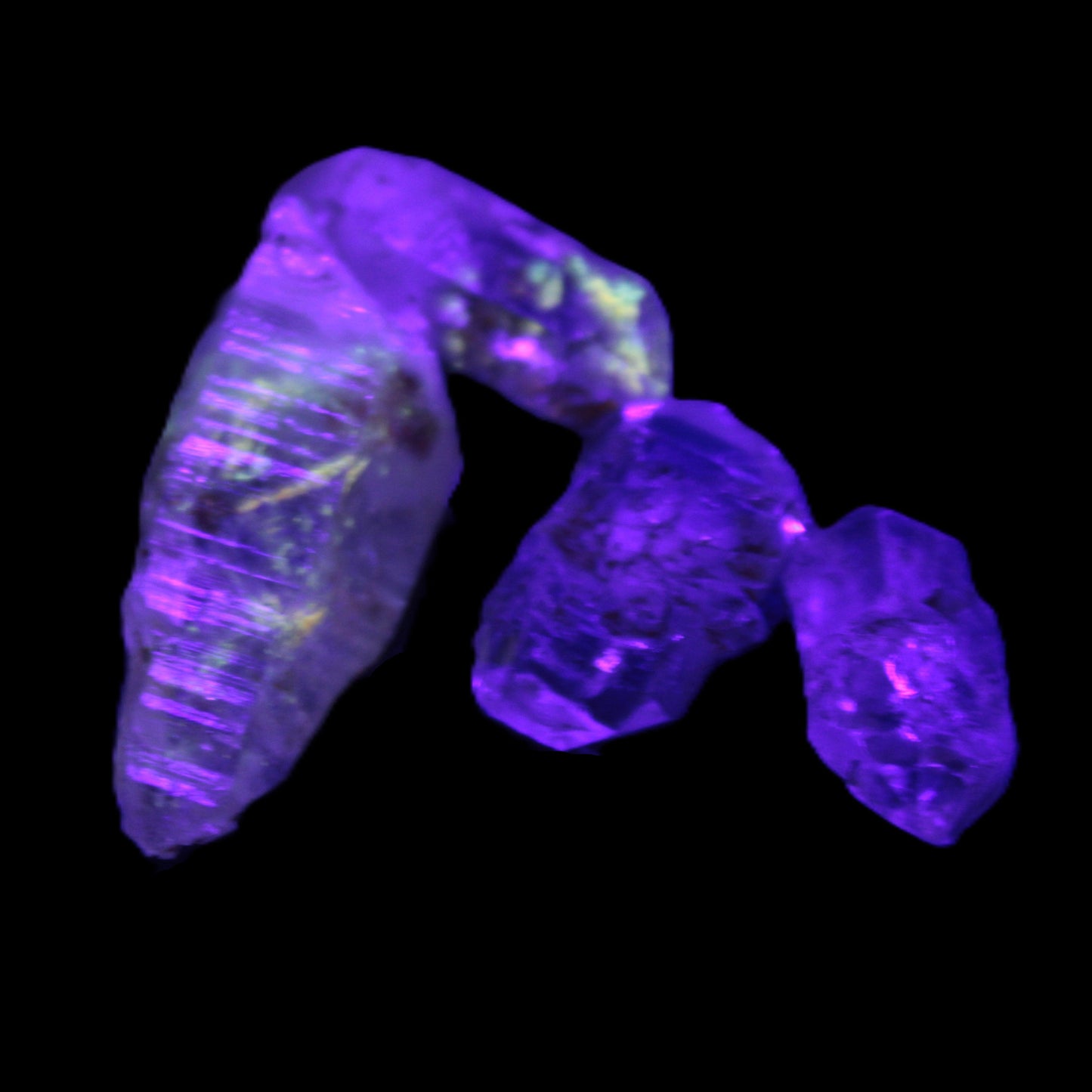 Fenster Enhydro Hydrocarbon 4 crystals 9-10g in UV light - Rocks and Things Store