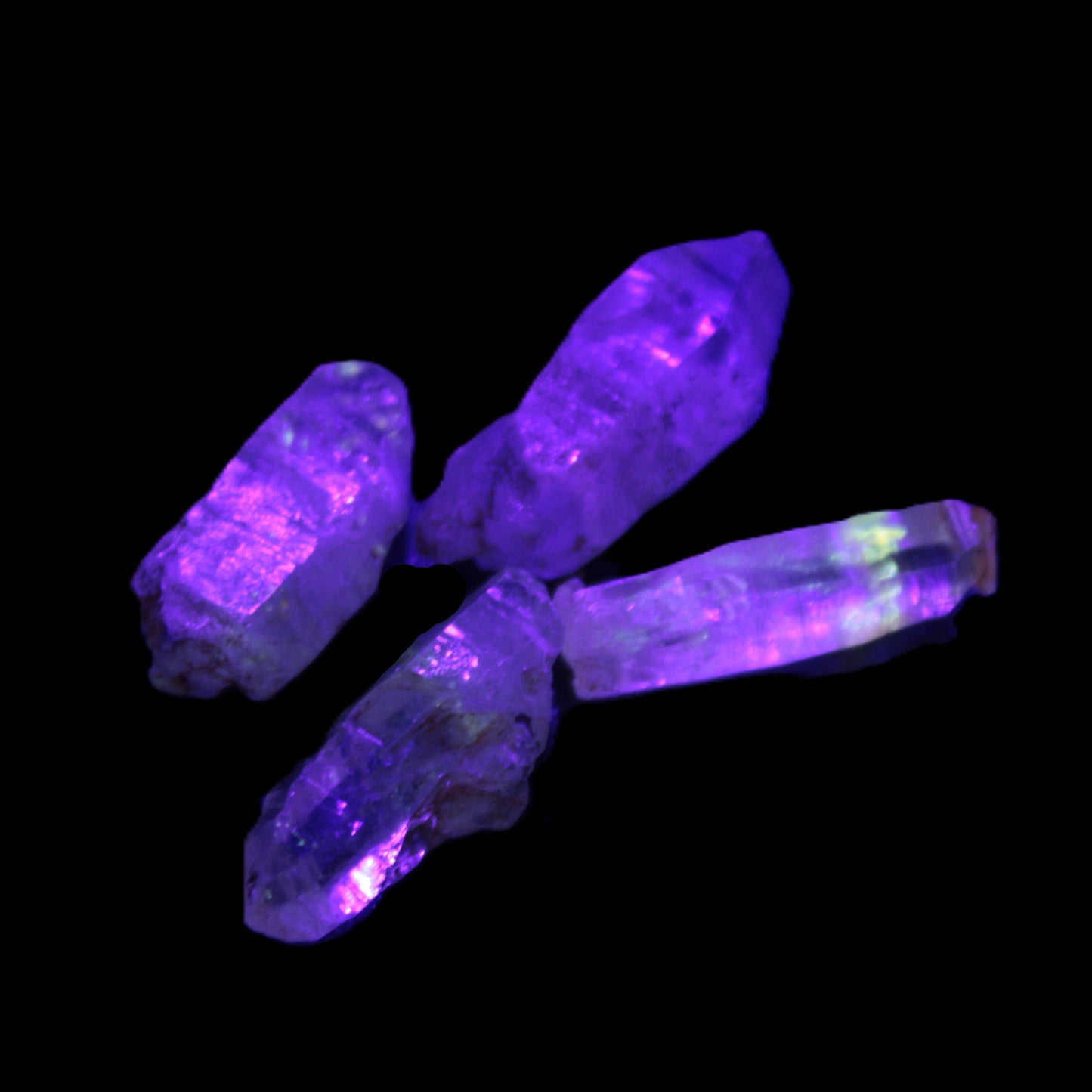 Fenster Enhydro Hydrocarbon 4 crystals 9-10g in UV light - Rocks and Things Store