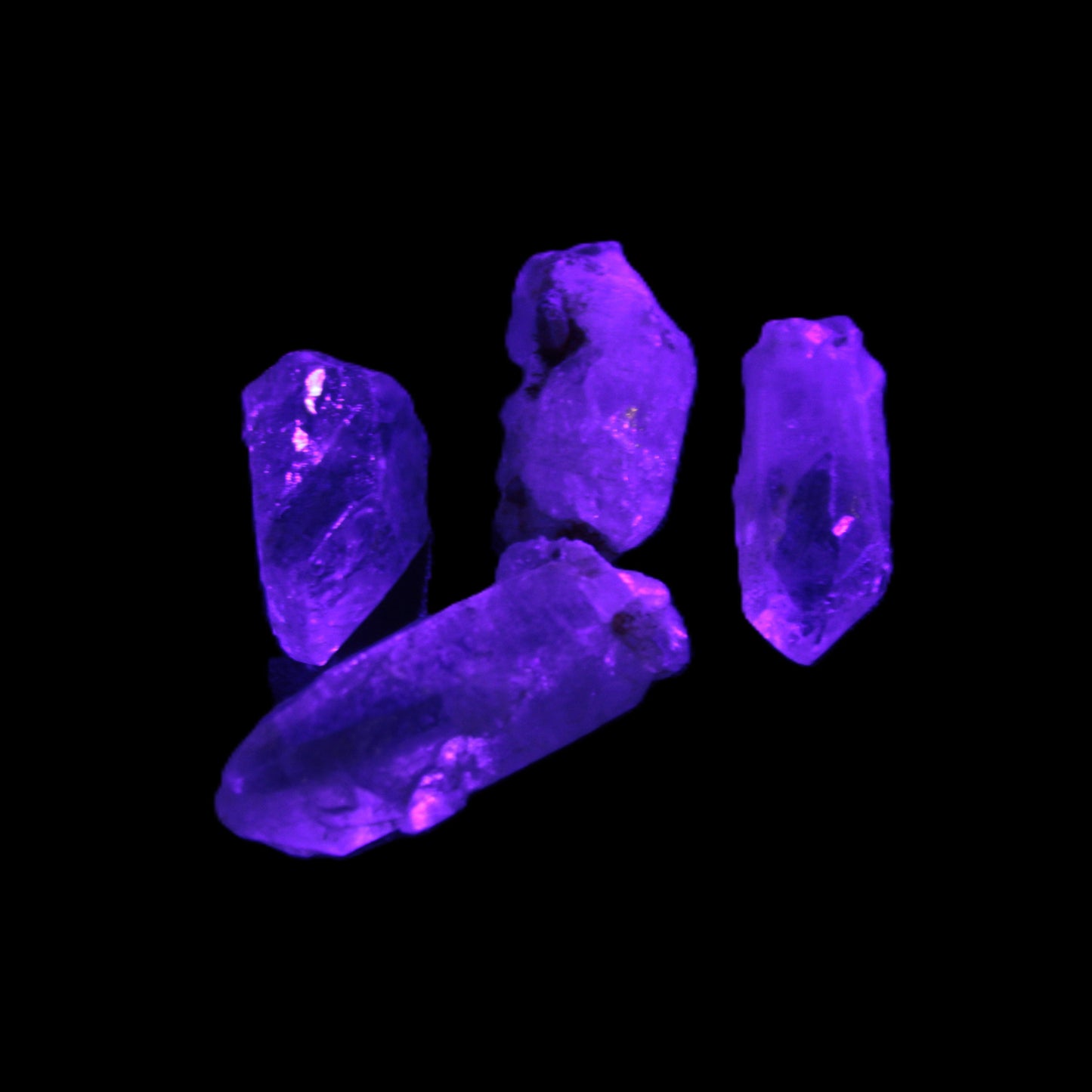 Fenster Enhydro Hydrocarbon 4 crystals 9-10g in UV light - Rocks and Things Store