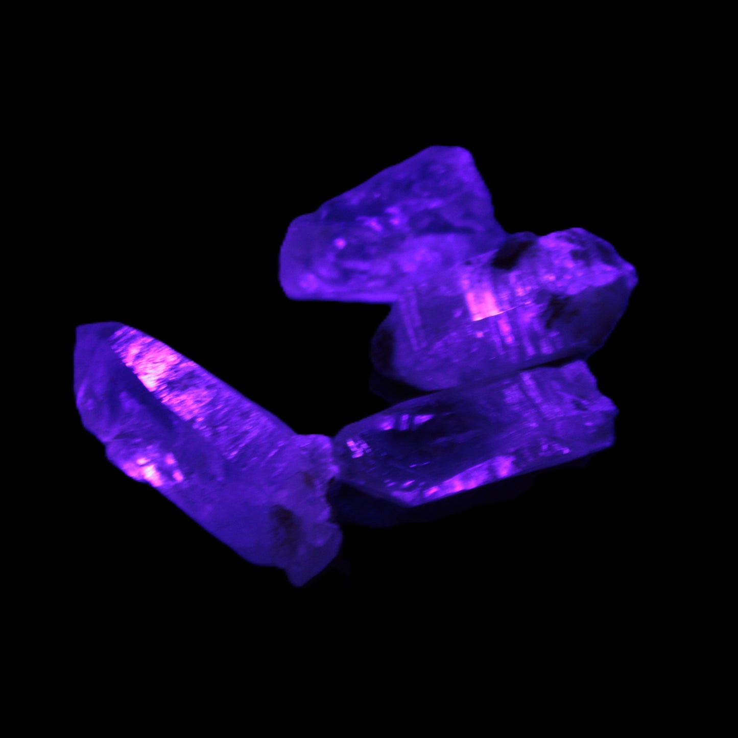 Fenster Enhydro Hydrocarbon 4 crystals 9-10g in UV light - Rocks and Things Store