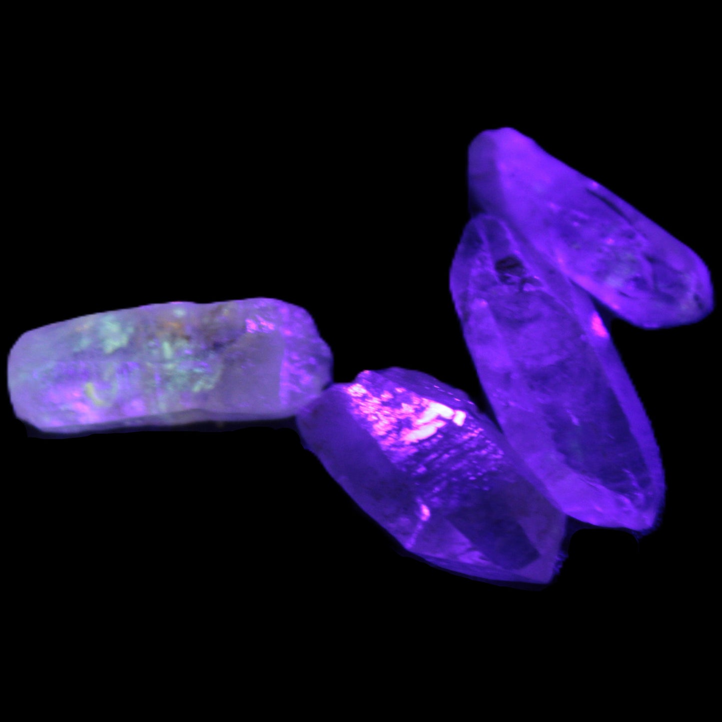 Fenster Enhydro Hydrocarbon 4 crystals 9-10g in UV light - Rocks and Things Store