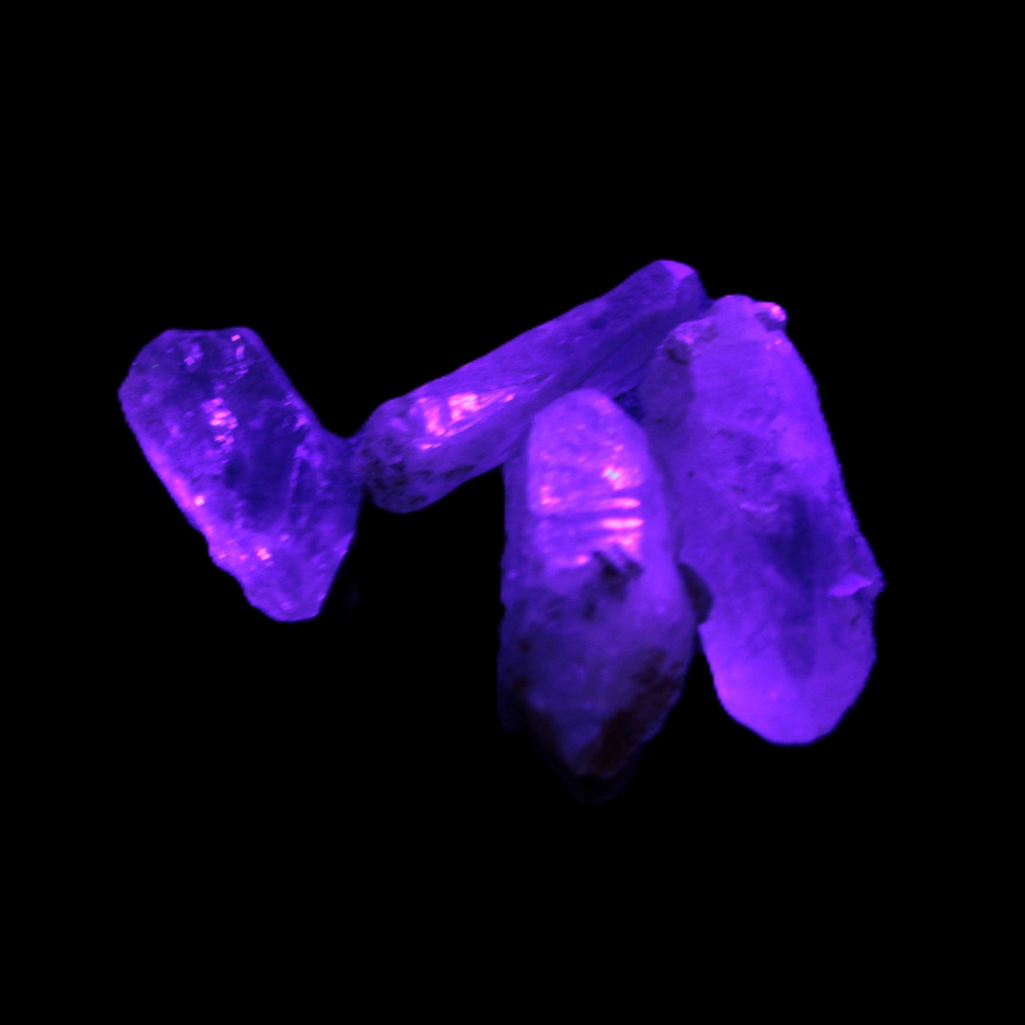 Fenster Enhydro Hydrocarbon 4 crystals 9-10g in UV light - Rocks and Things Store