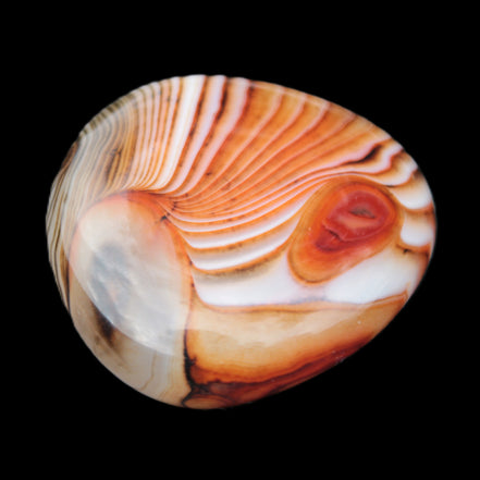 Crazy Lace Agate 44*43mm 58.6g -  Rocks and Things Store