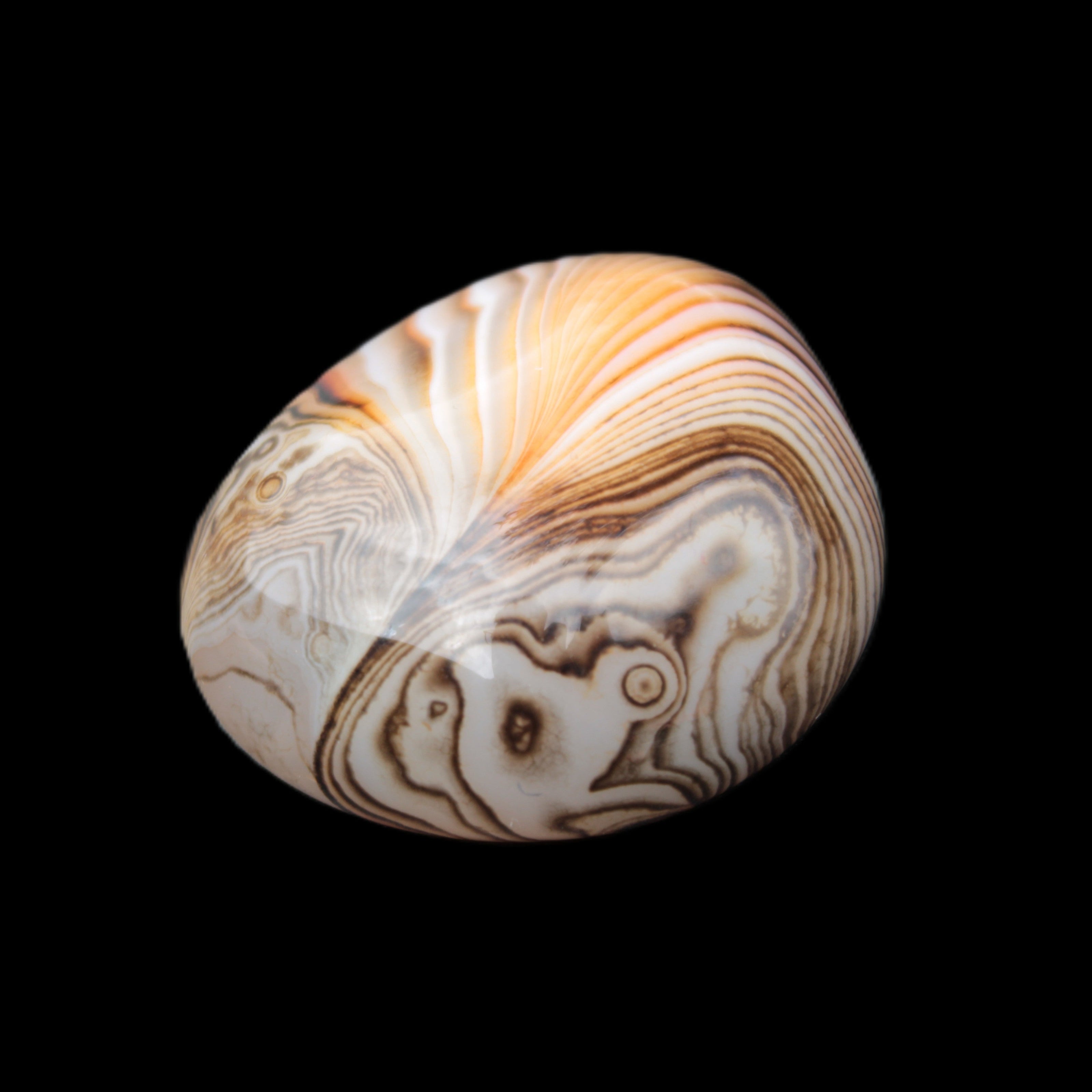 Crazy Lace Agate 44*43mm 58.6g -  Rocks and Things Store