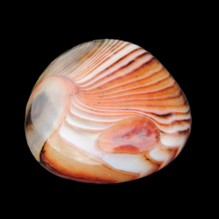 Crazy Lace Agate 44*43mm 58.6g -  Rocks and Things Store
