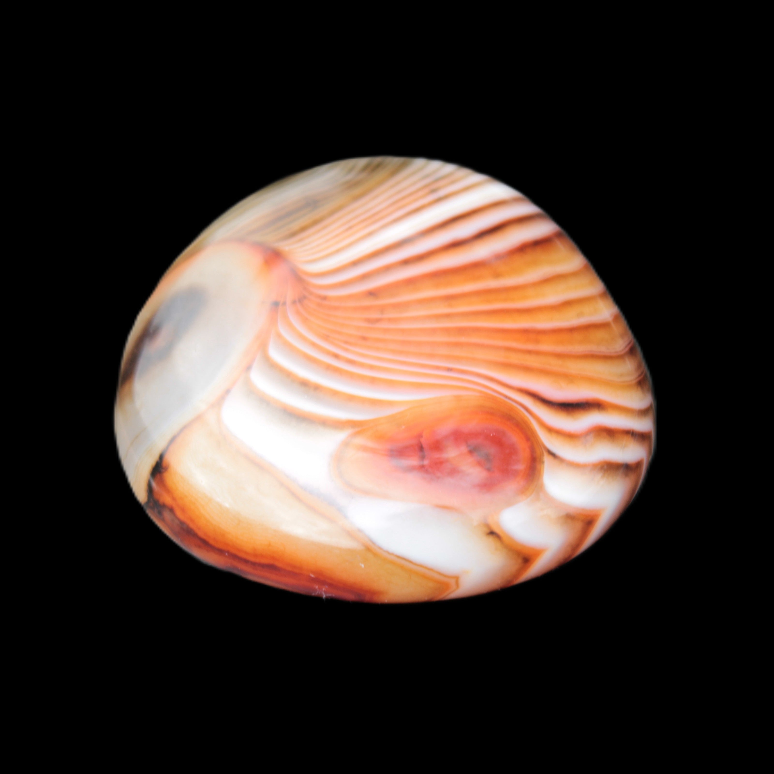Crazy Lace Agate 44*43mm 58.6g -  Rocks and Things Store