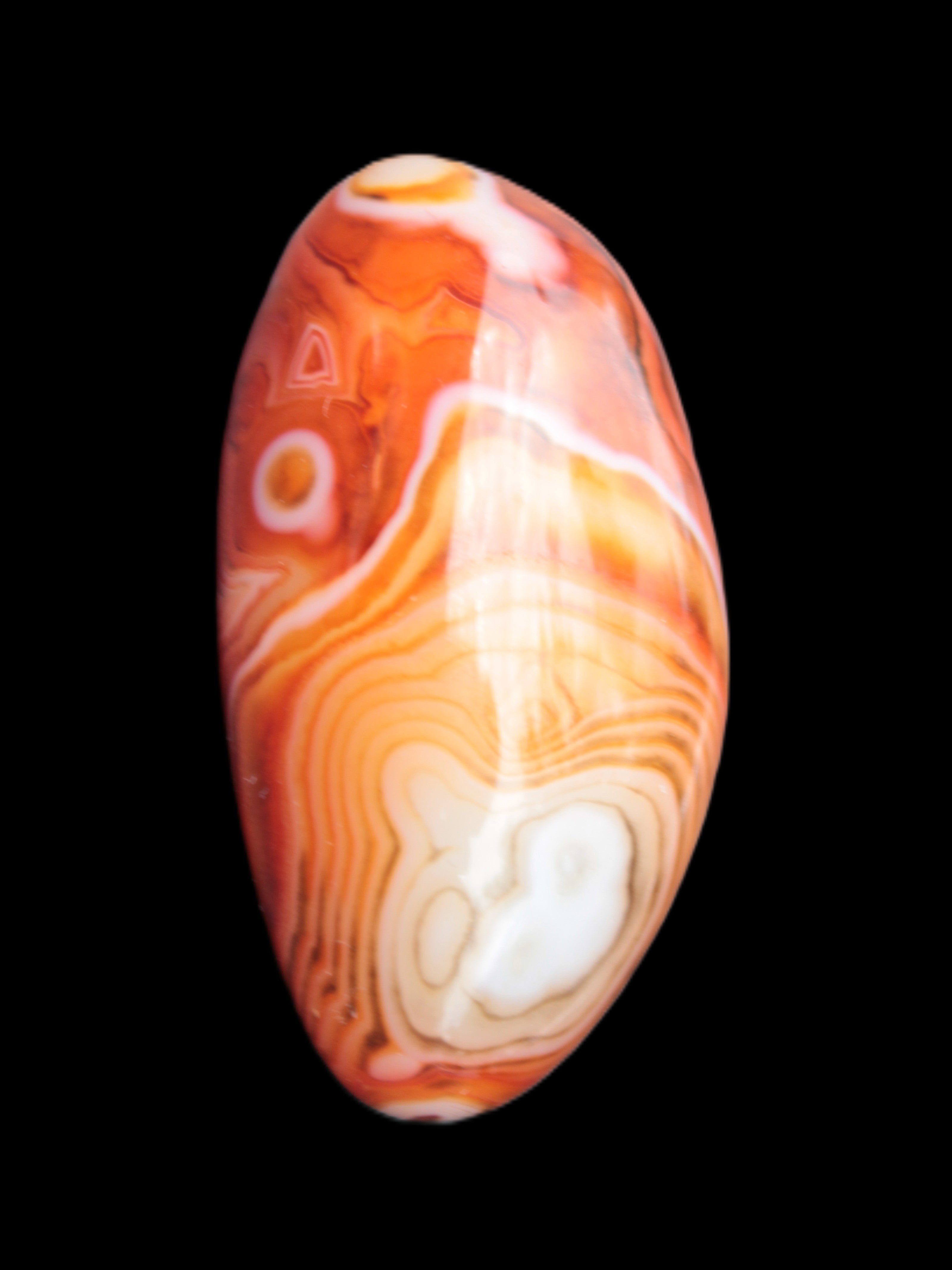 Crazy Lace Agate 51*29mm 46.2g in bright sunlight - Rocks and Things Store
