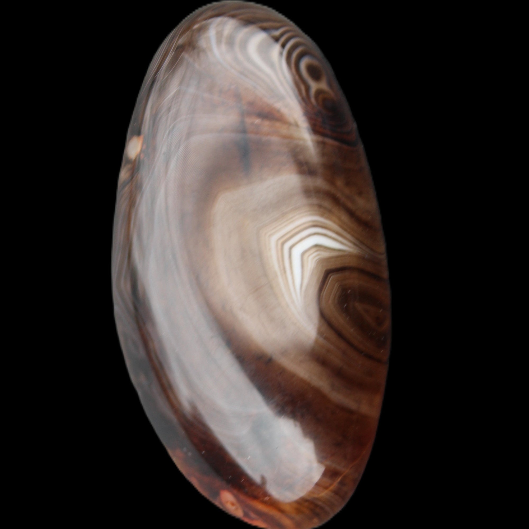 Crazy Lace Agate 52*27*14mm 40g in sunlight - Rocks and Things Store