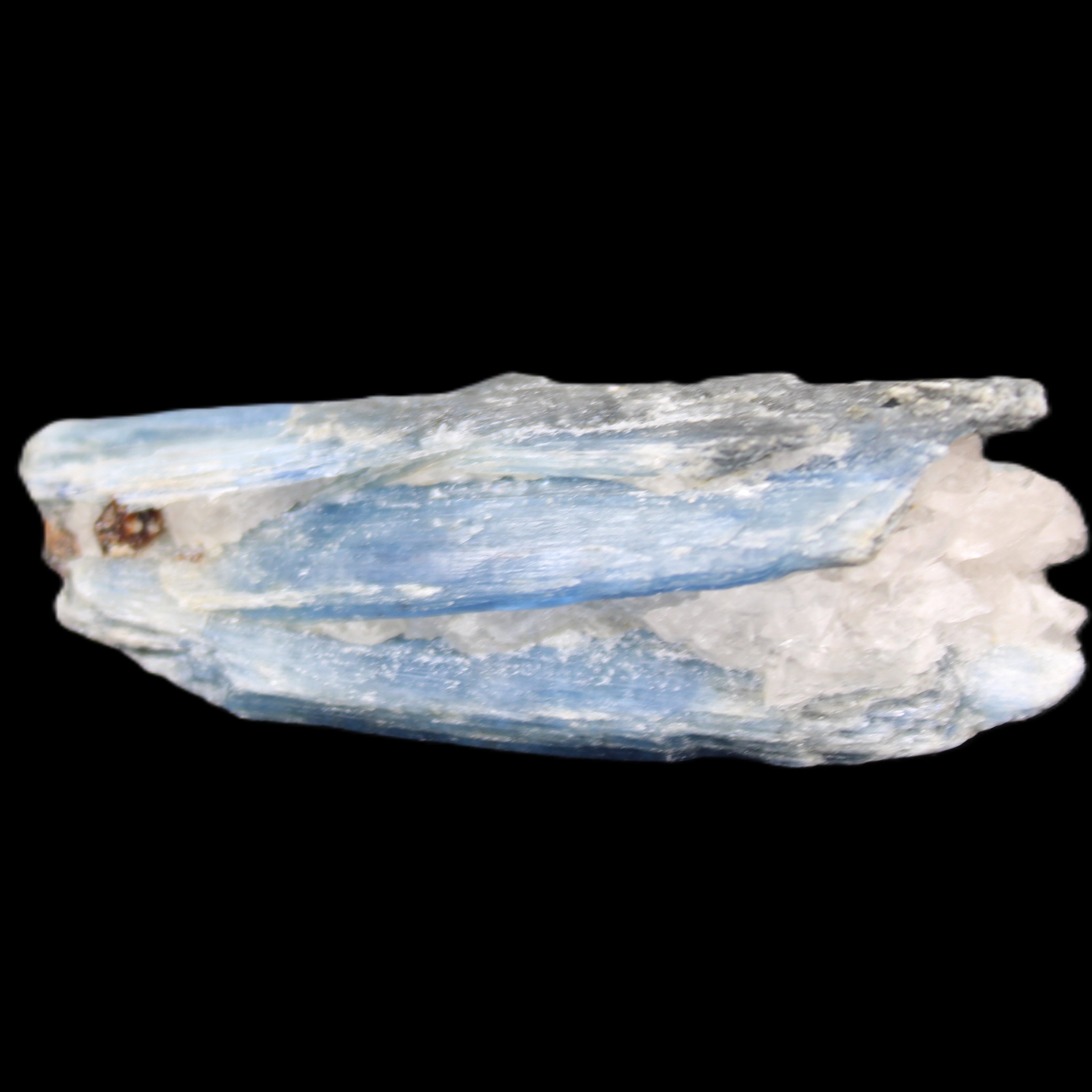 Kyanite blade crystal 61mm 27g in sunlight - Rocks and Things Store