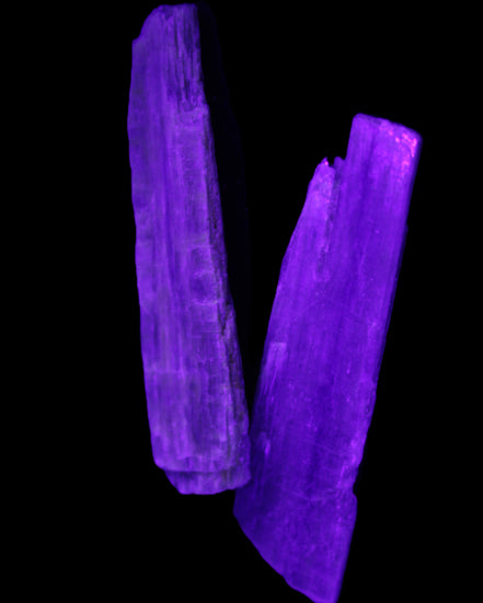 Natural Blue Kyanite blade crystals 20-24g in UV light - Rocks and Things Store