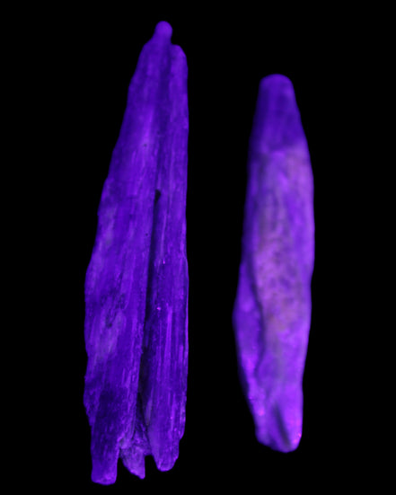 Natural Blue Kyanite blade crystals 20-24g in UV light - Rocks and Things Store