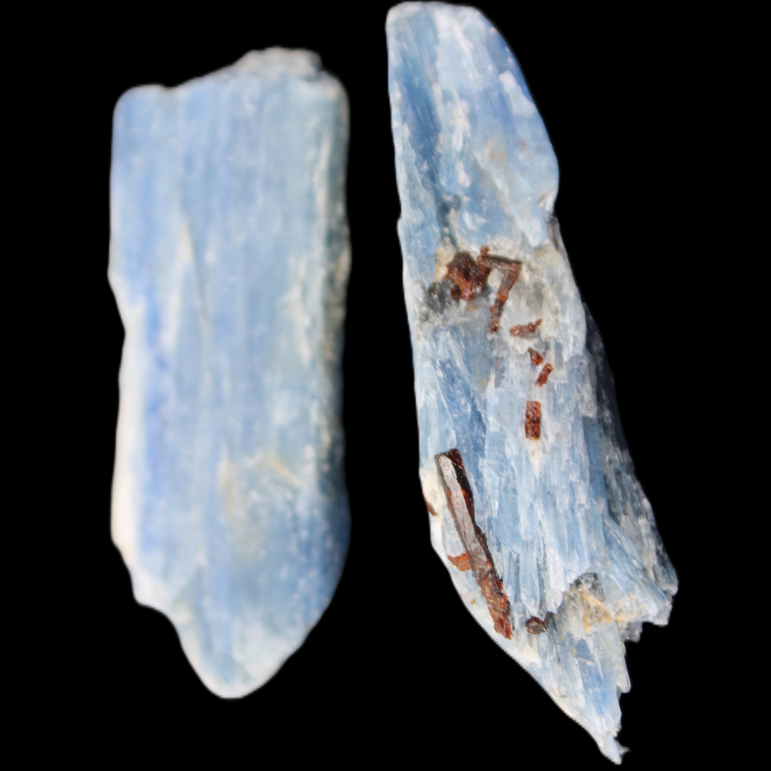 Natural Blue Kyanite two blade crystals 29-31g in sunlight - Rocks and Things Store