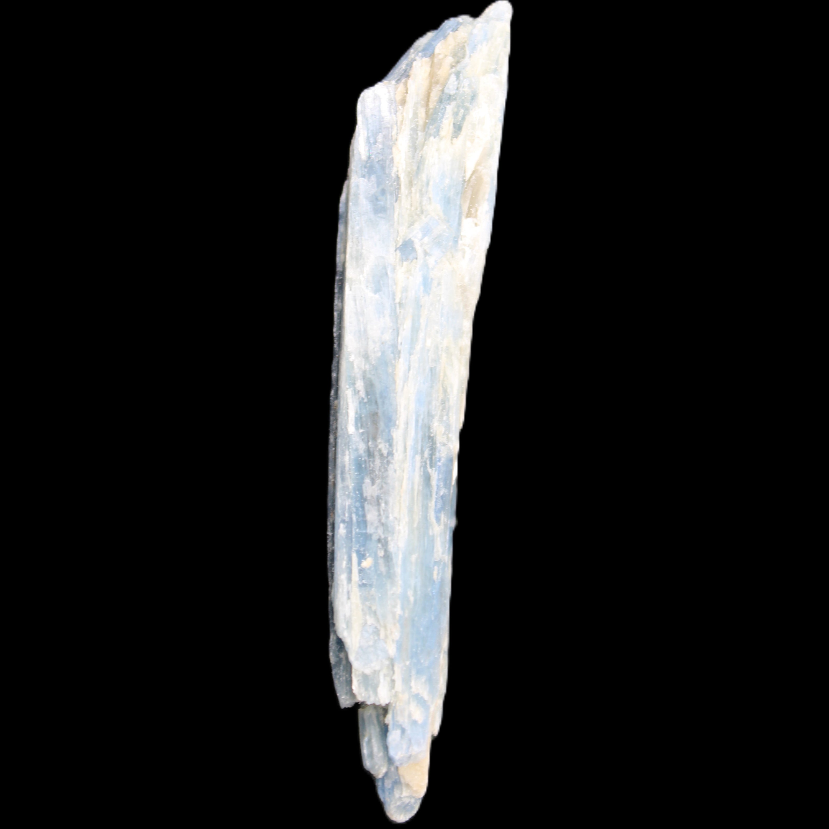 Natural Blue Kyanite long blade crystal 13-19g in sunlight - Rocks and Things Store