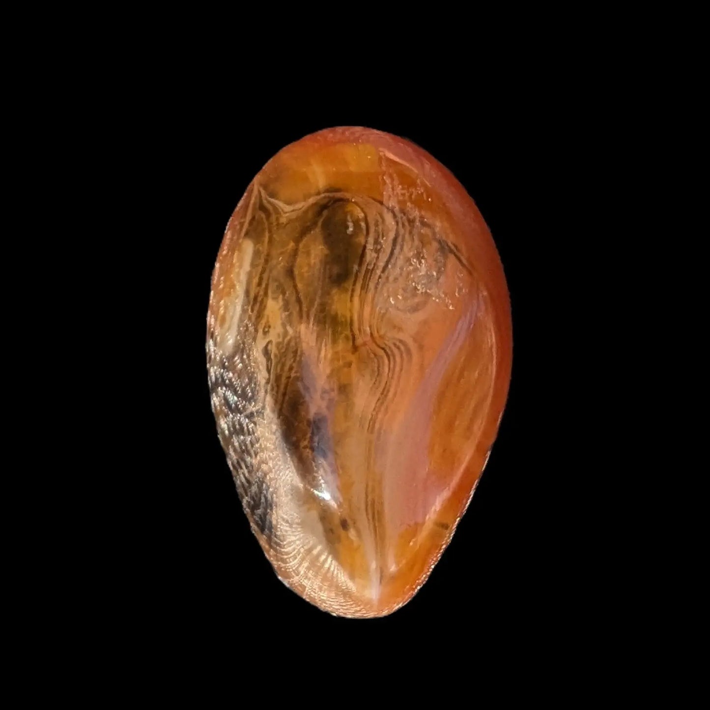 Crazy Lace Silk Banded Agate tumbled stone from Madagascar 35*54mm 68g Rocks and Things