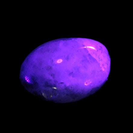 Green Tourmaline in Quartz small polished crystal 9g Rocks and Things