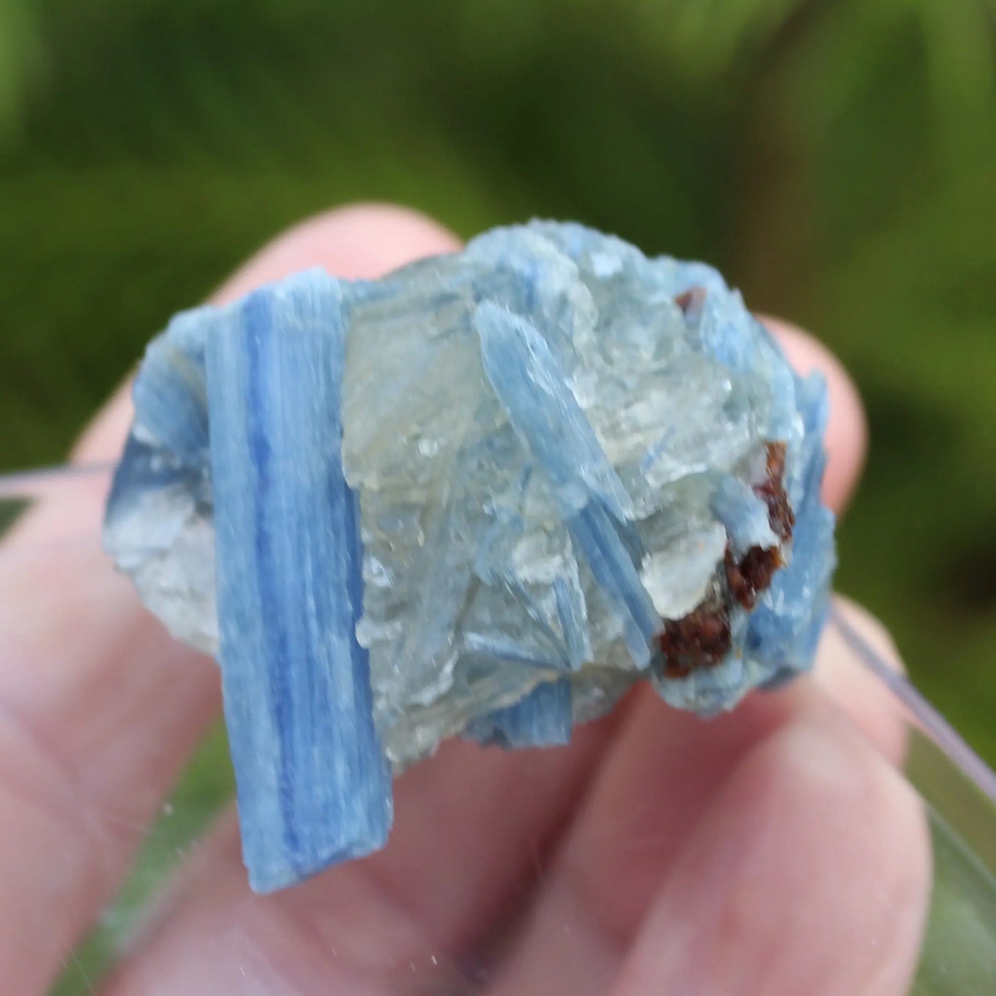 Kyanite rough 45g Rocks and Things