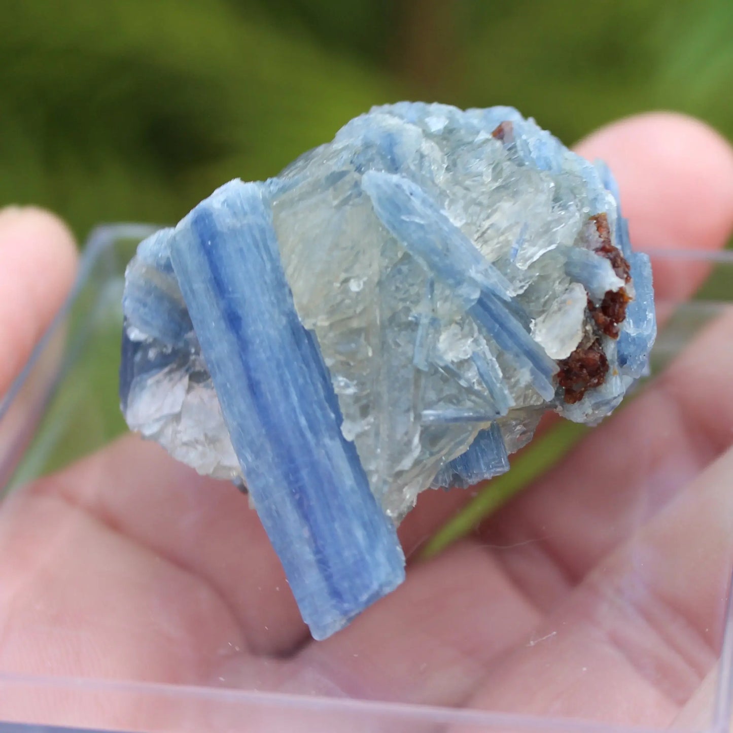 Kyanite rough 45g Rocks and Things