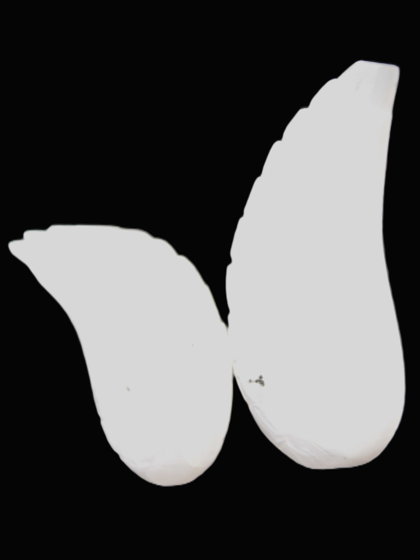 Mangano Calcite angel wings 60/62*115mm (178g & 192g) 380g Rocks and Things Store
