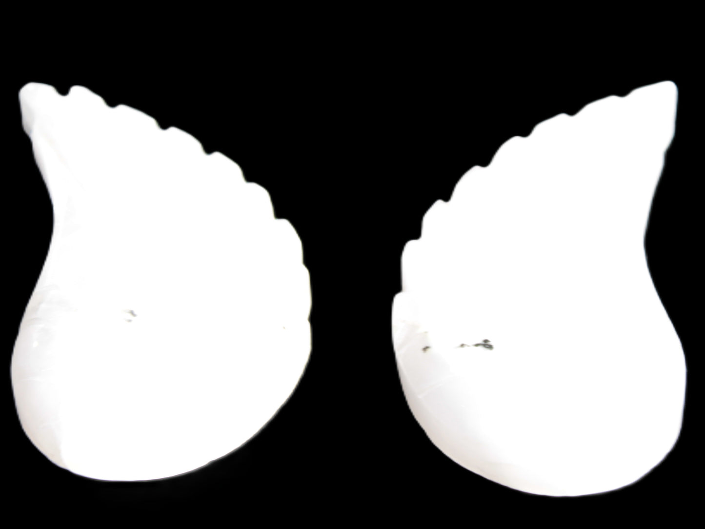 Mangano Calcite angel wings 60/62*115mm (178g & 192g) 380g Rocks and Things Store