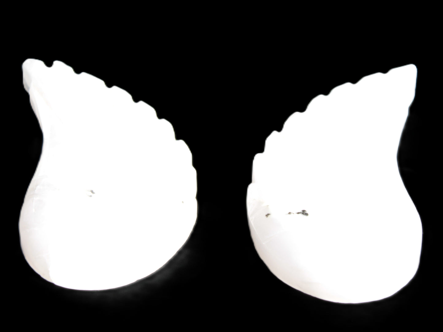 Mangano Calcite angel wings 60/62*115mm (178g & 192g) 380g Rocks and Things Store