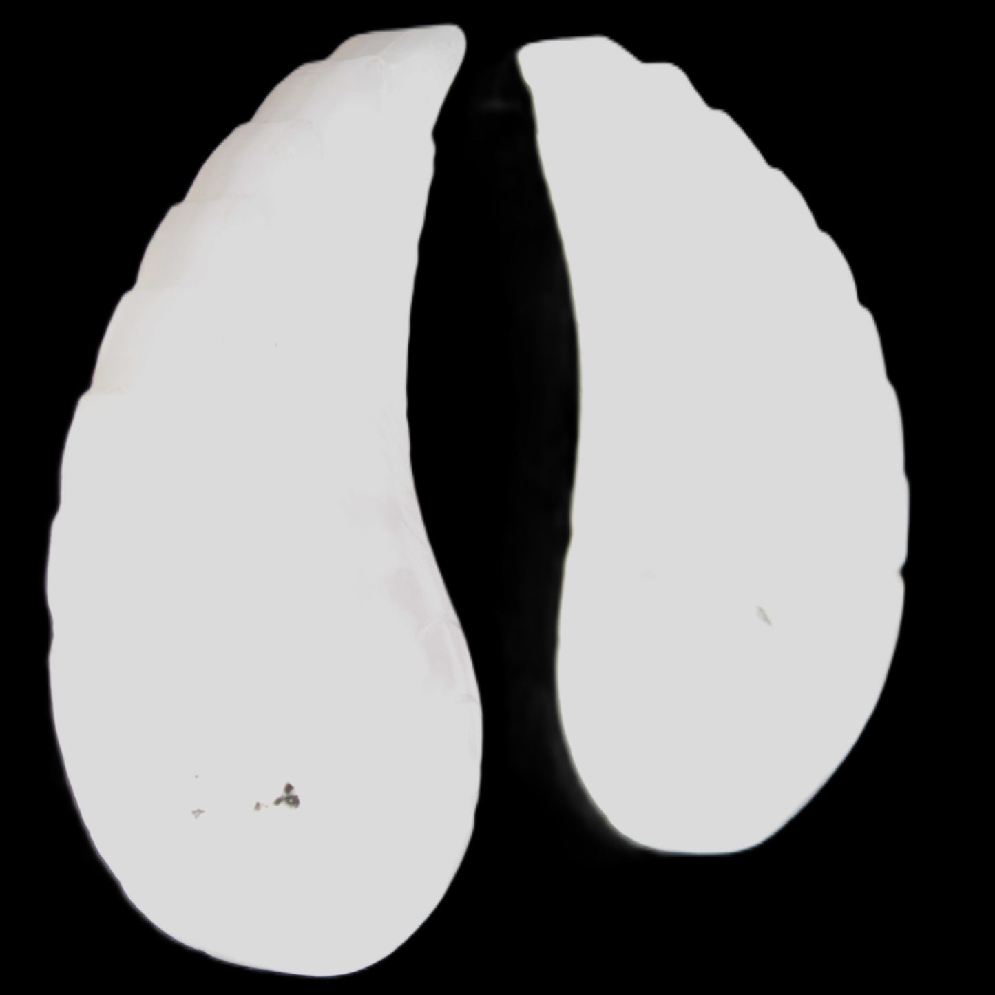 Mangano Calcite angel wings 60/62*115mm (178g & 192g) 380g Rocks and Things Store
