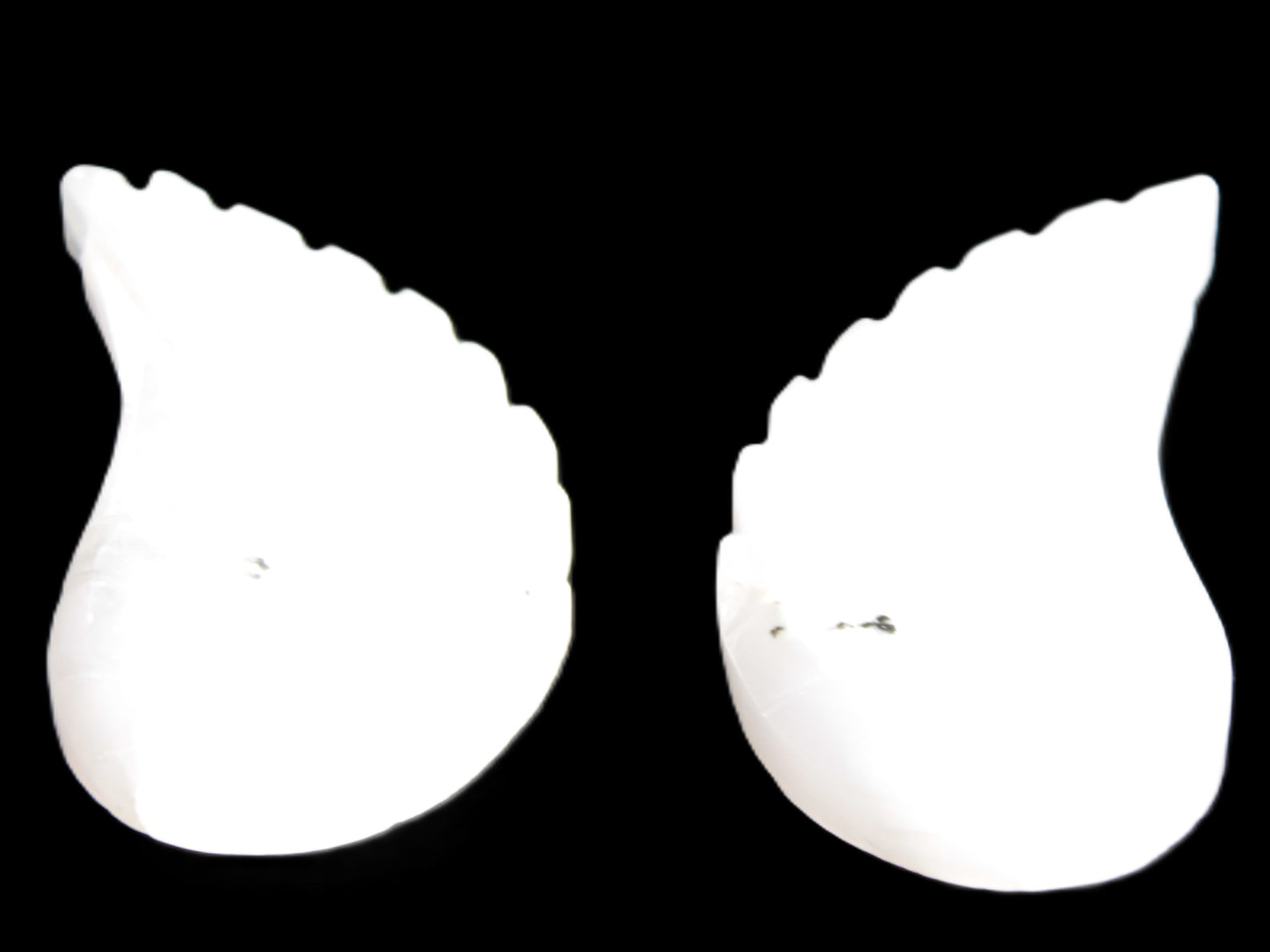 Mangano Calcite angel wings 60/62*115mm (178g & 192g) 380g Rocks and Things Store