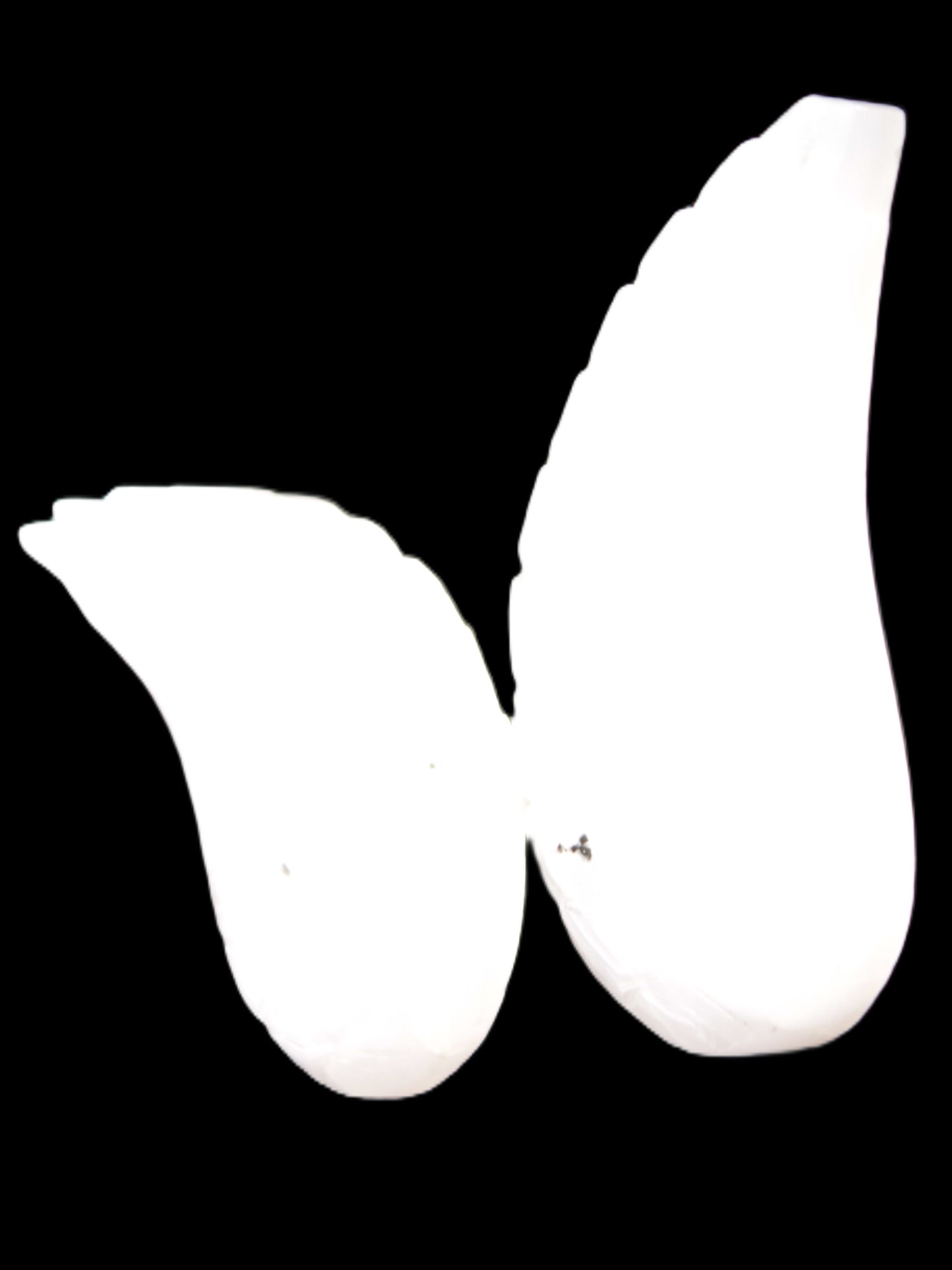Mangano Calcite angel wings 60/62*115mm (178g & 192g) 380g Rocks and Things Store
