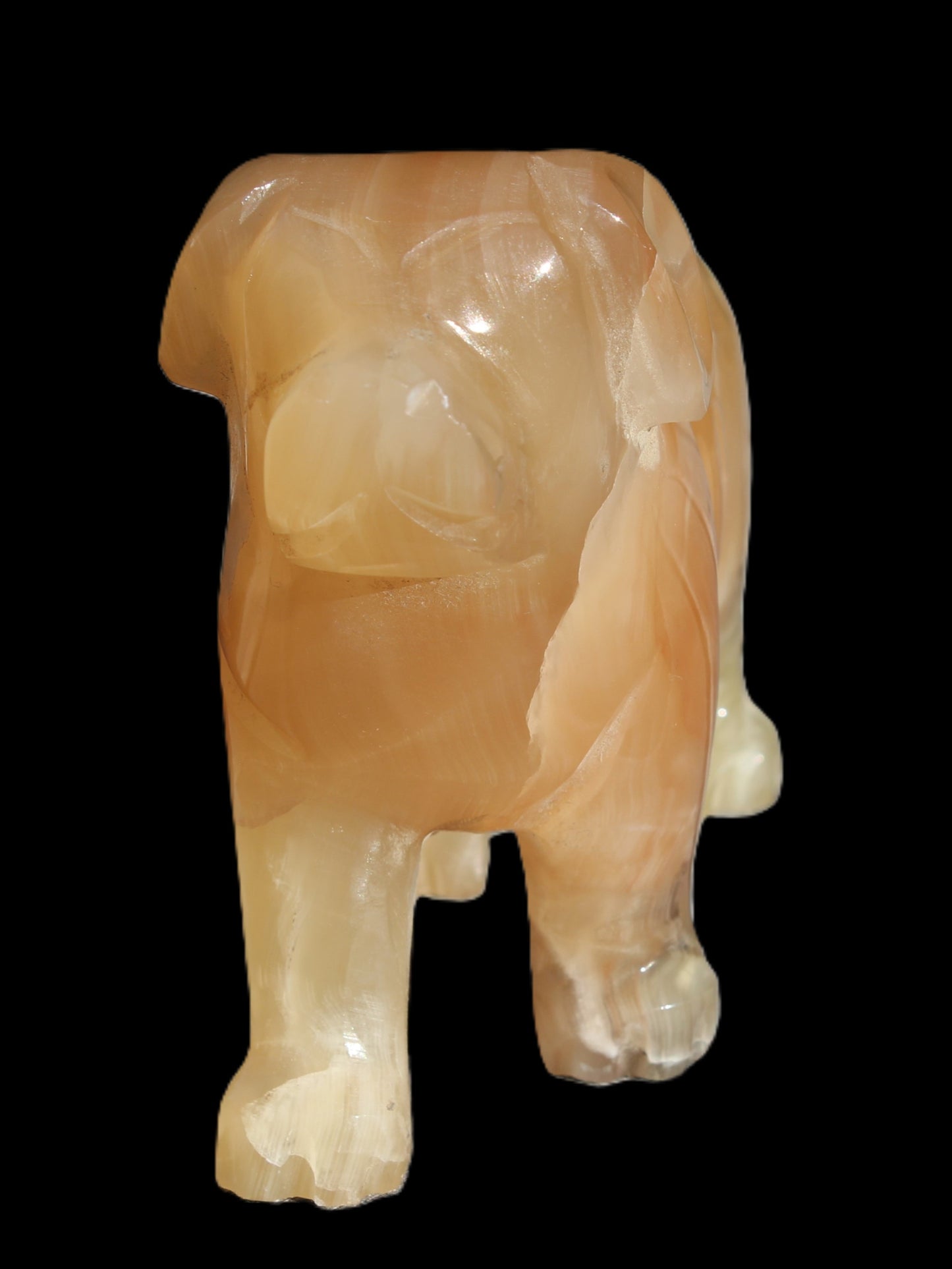 Honey Calcite hand-carved Dog 673g Rocks and Things