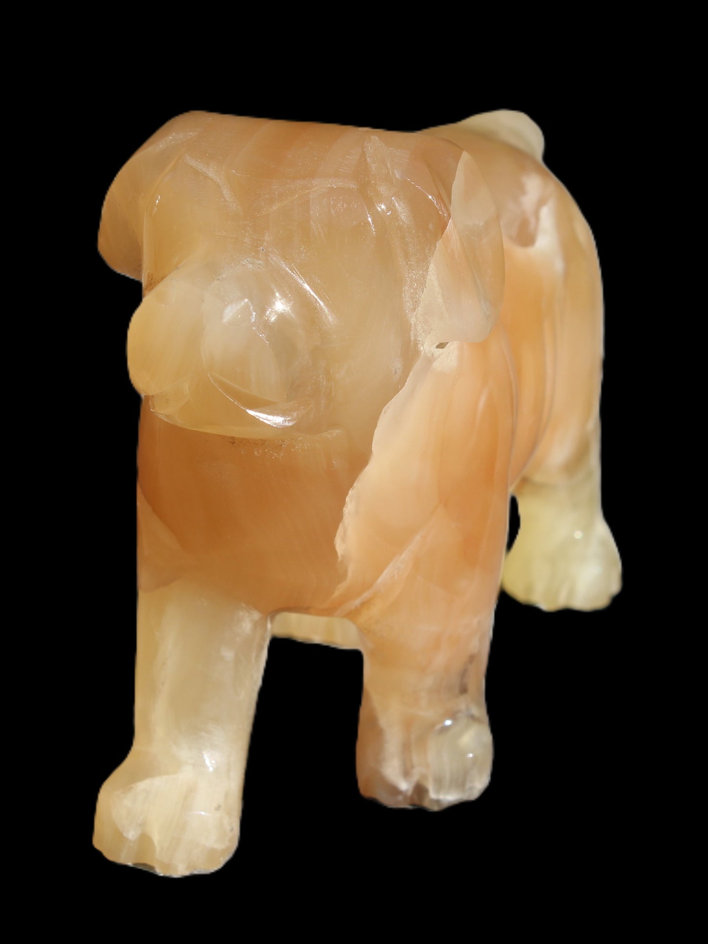 Honey Calcite hand-carved Dog 673g Rocks and Things